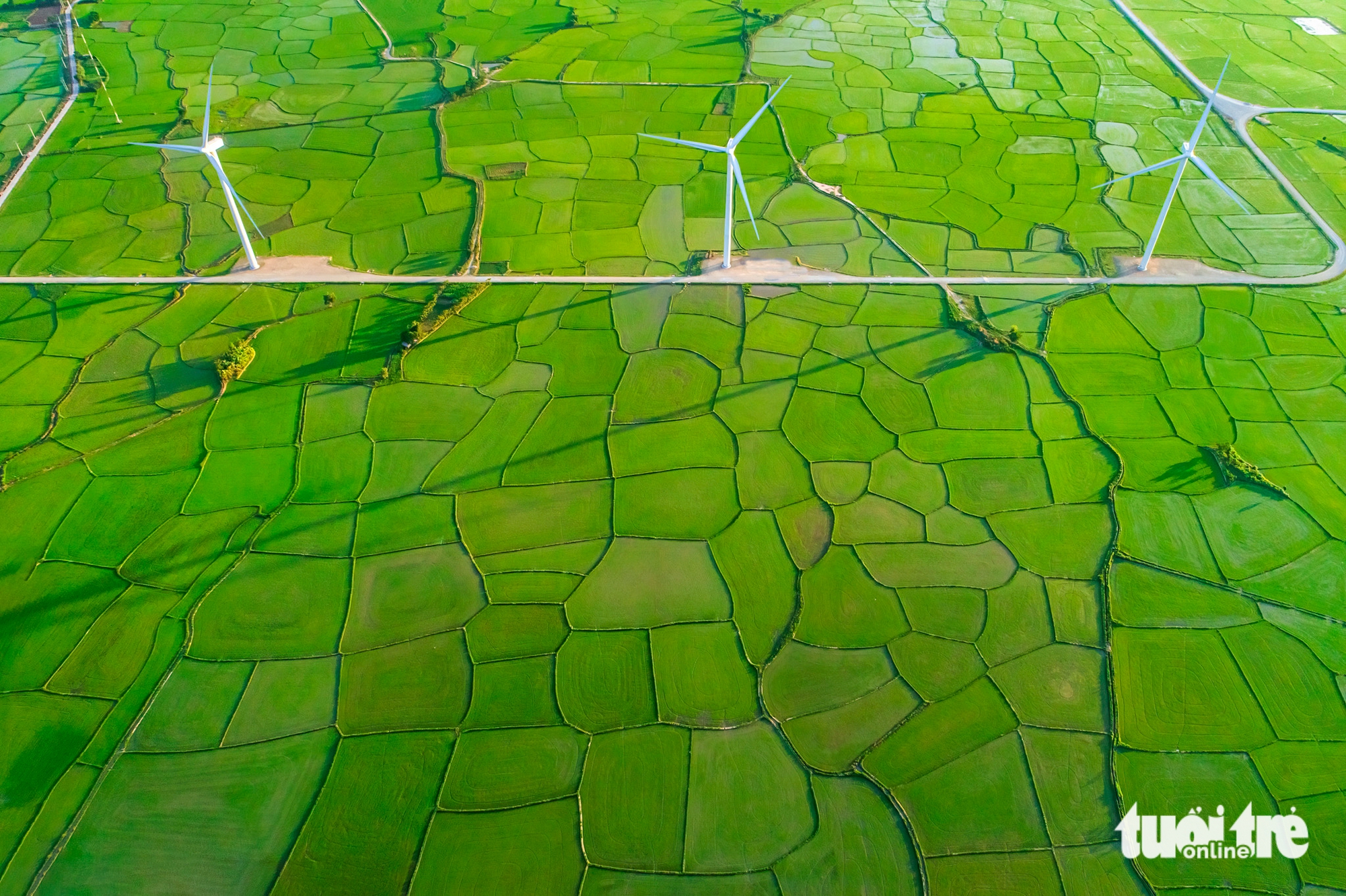 Khanh Hoa usiluje o „komplexní zelenou destinaci“: Velké přírodní výhody, ještě větší odhodlání - Foto 6. Khánh Hòa hướng tới ‘điểm đến Xanh toàn diện’: Lợi thế tự nhiên lớn, quyết tâm còn lớn hơn- Ảnh 6.