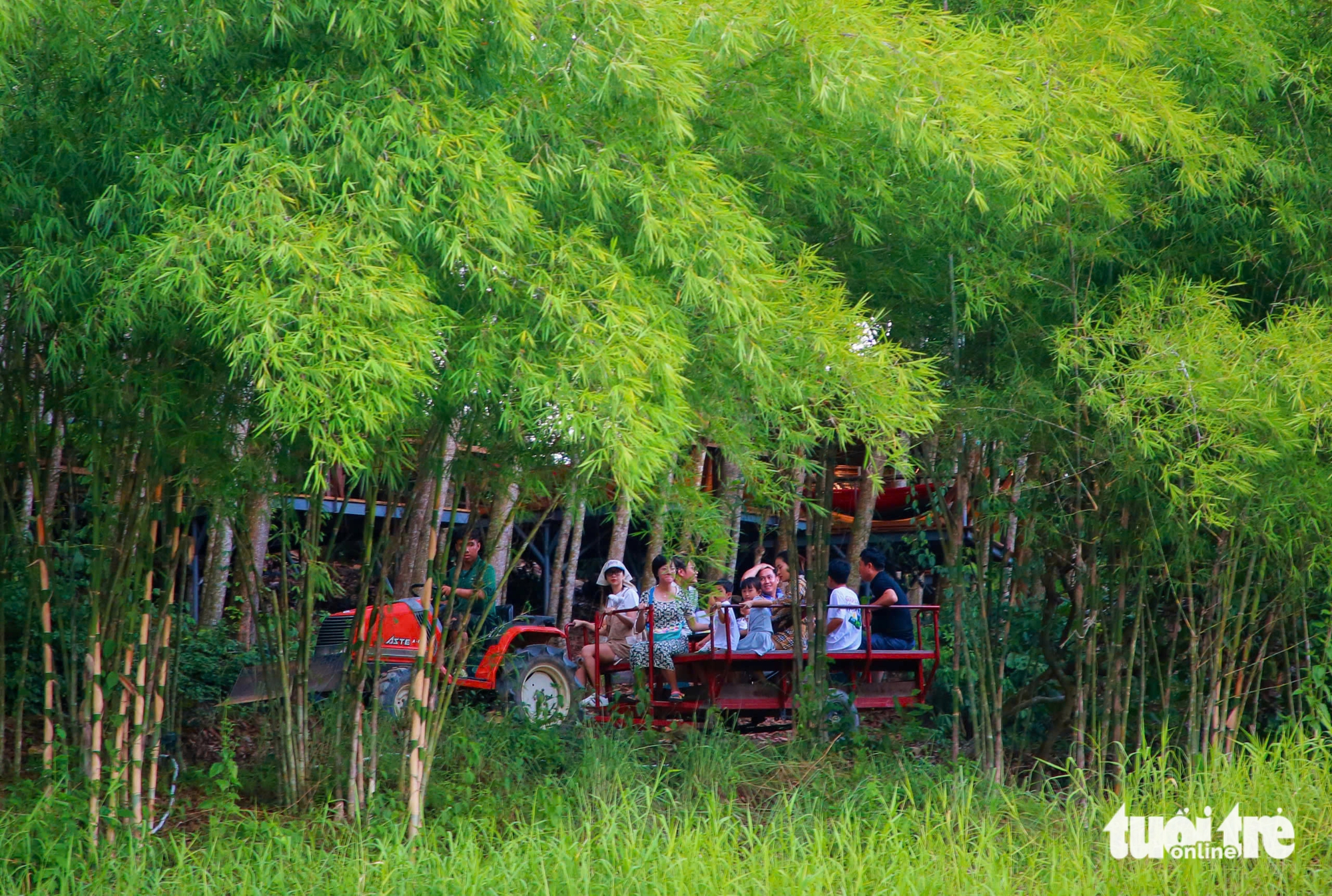 Khanh Hoa usiluje o „komplexní zelenou destinaci“: Velké přírodní výhody, ještě větší odhodlání - Foto 8. Khánh Hòa - Ảnh 5.