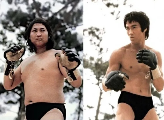 Hồng Kim Bảo luyện võ gì mà từng giao đấu cả Lý Tiểu Long? - Ảnh 4.