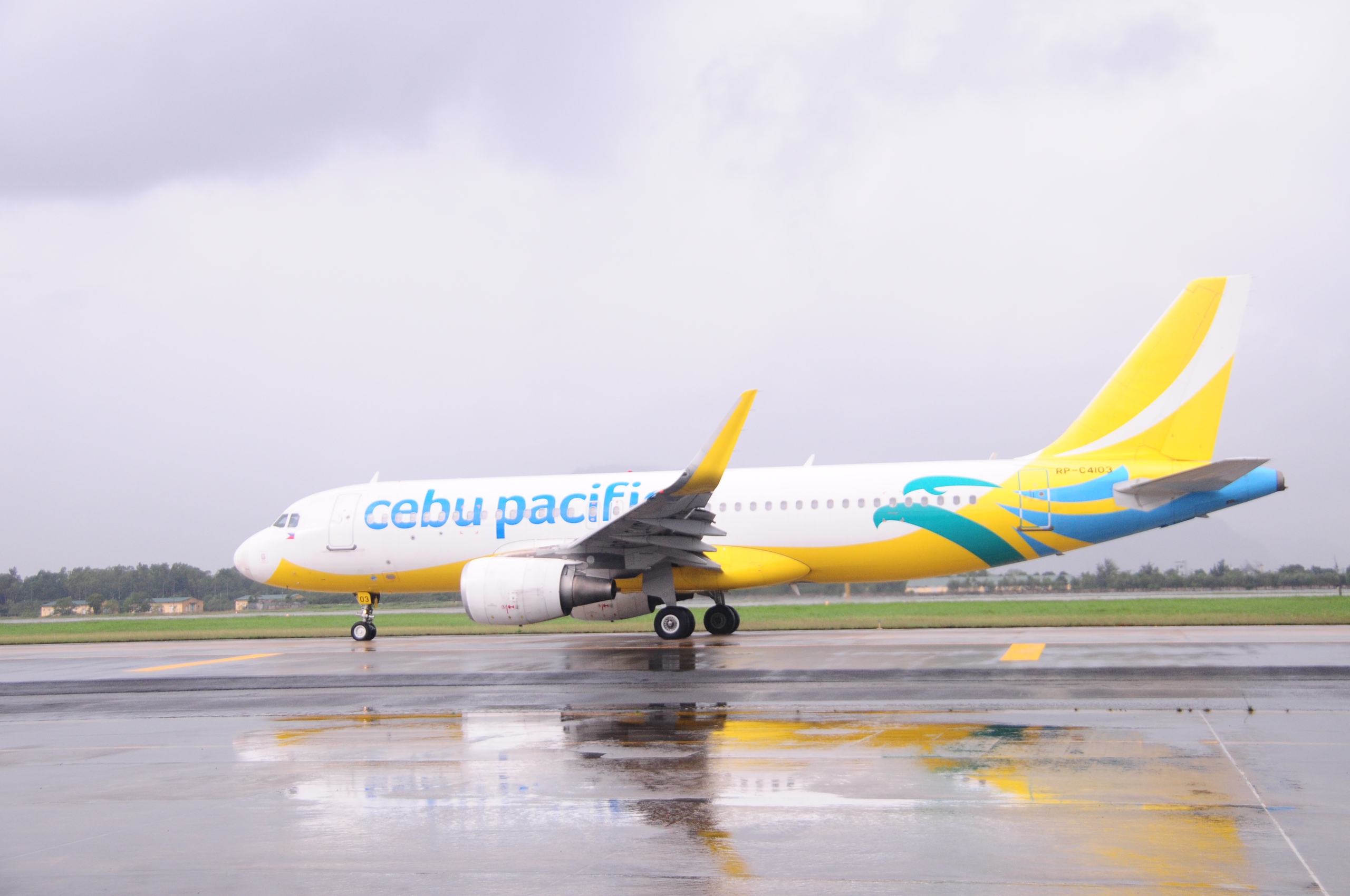 Đà Nẵng - Ảnh 1.