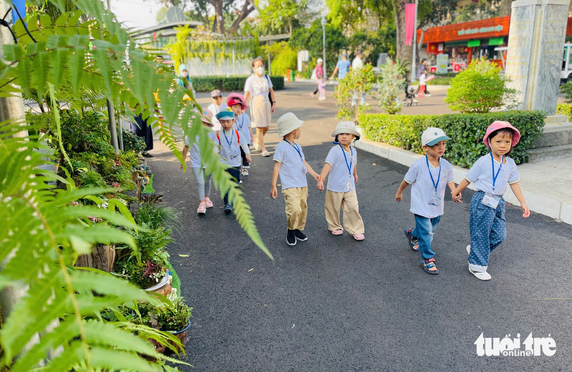 vườn hoa - Ảnh 8.