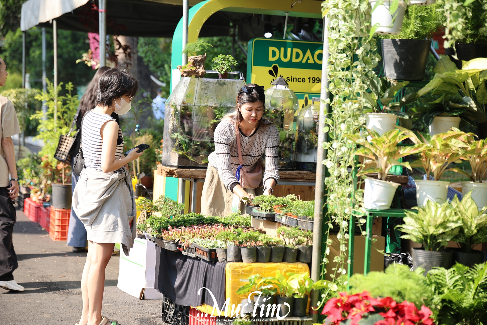 Thảo cầm viên lan tỏa thông điệp sống xanh tại Triển lãm kiểng lá năm2026 - Ảnh 1.