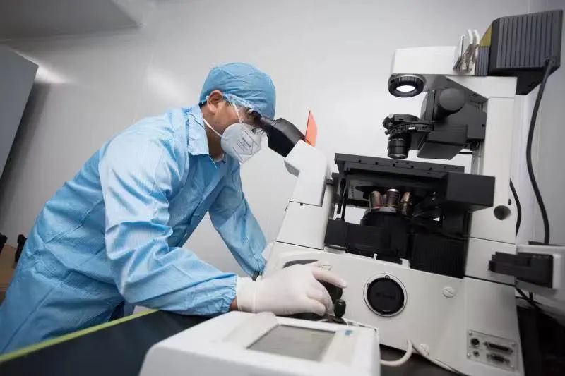 miễn dịch  - Ảnh 1.