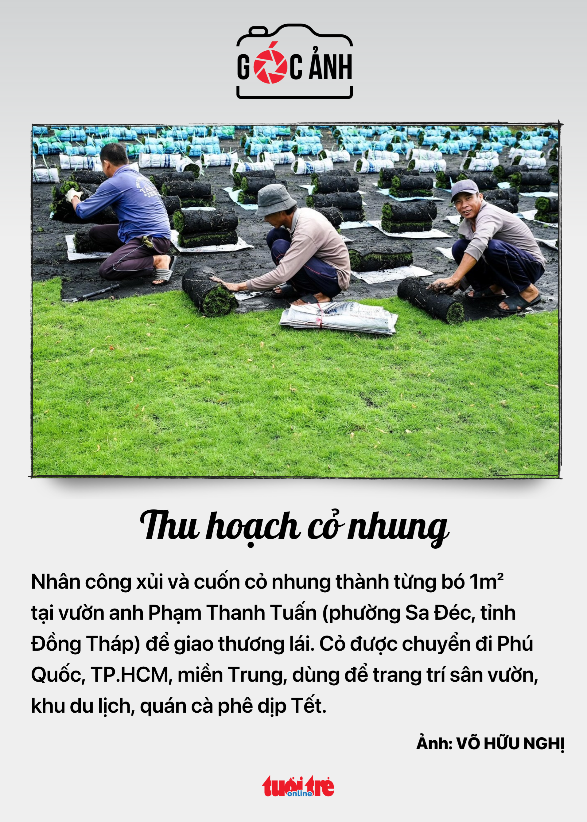 đại hội - Ảnh 5.