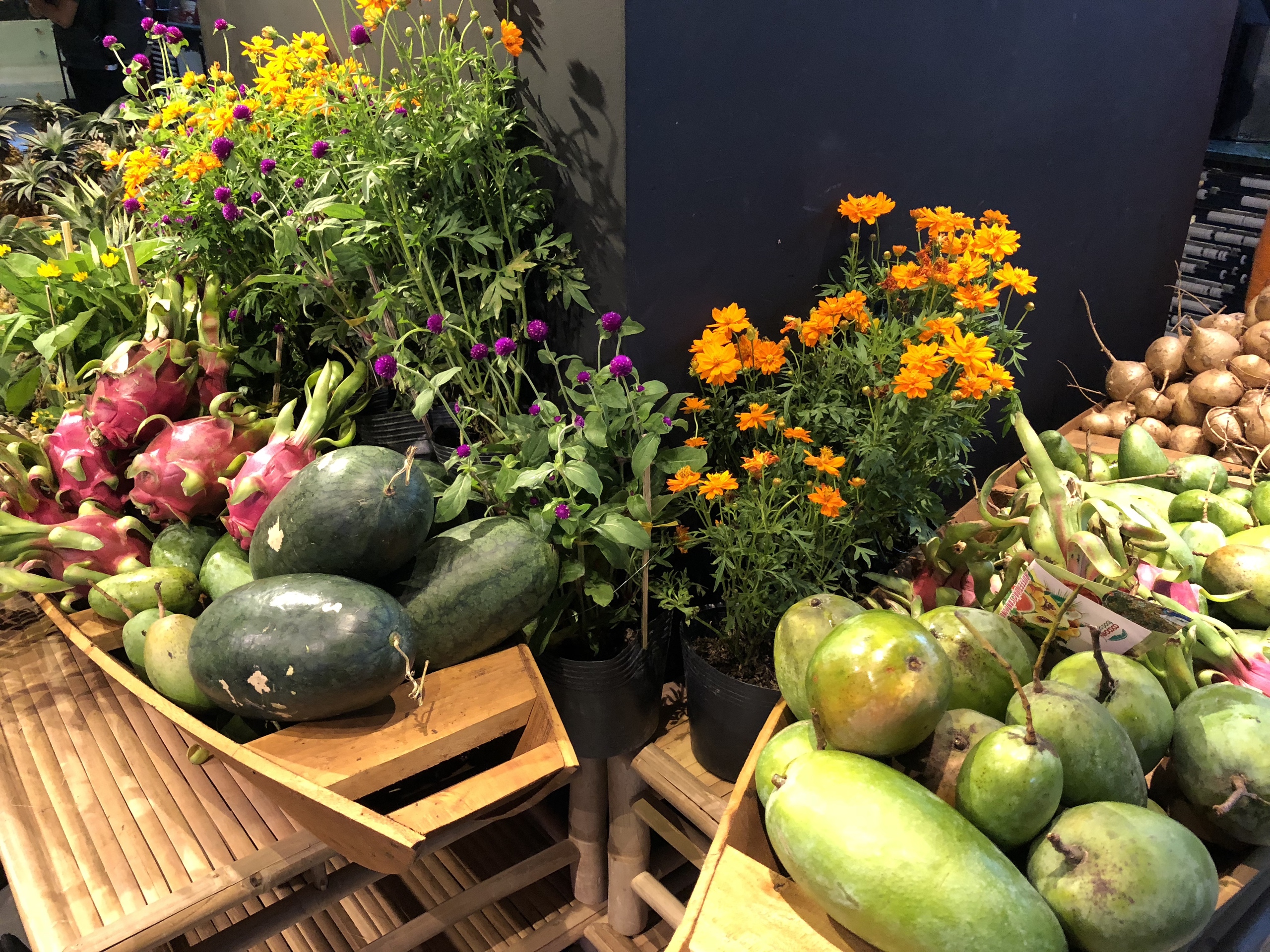  mùa đoàn viên - Ảnh 1.