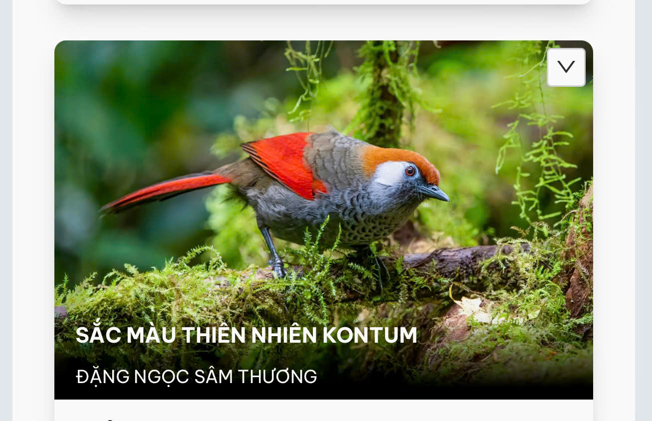 Măng Đen - Ảnh 6.