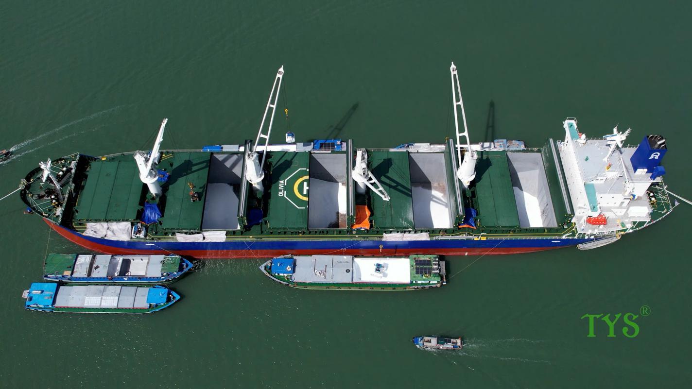 Phân bón Cà Mau - Ảnh 1.