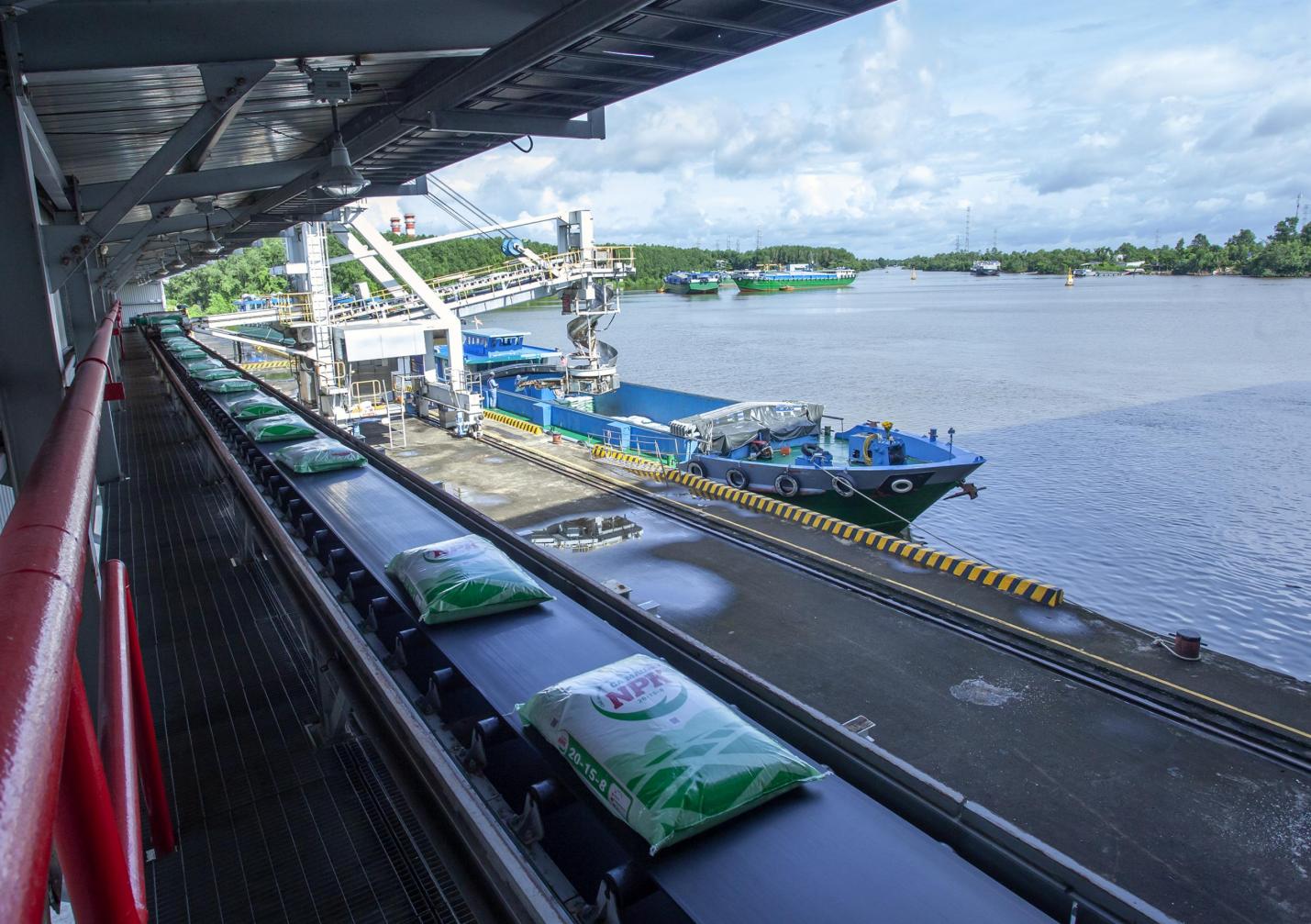 Phân bón Cà Mau - Ảnh 4.