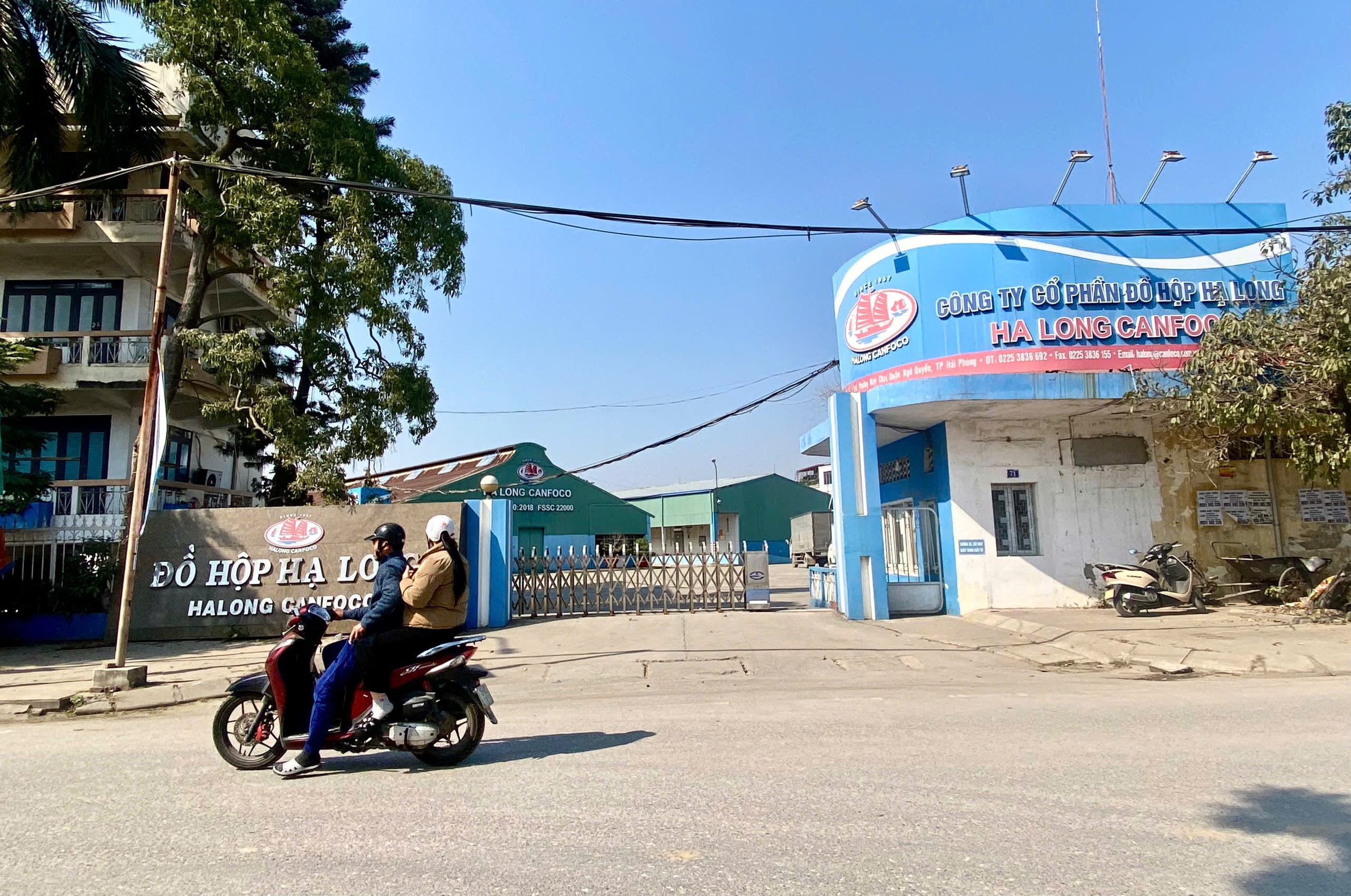 Vụ heo bệnh ở Công ty Đồ hộp Hạ Long: Sở Nông nghiệp và Môi trường Hải Phòng báo cáo gì? - Ảnh 1.