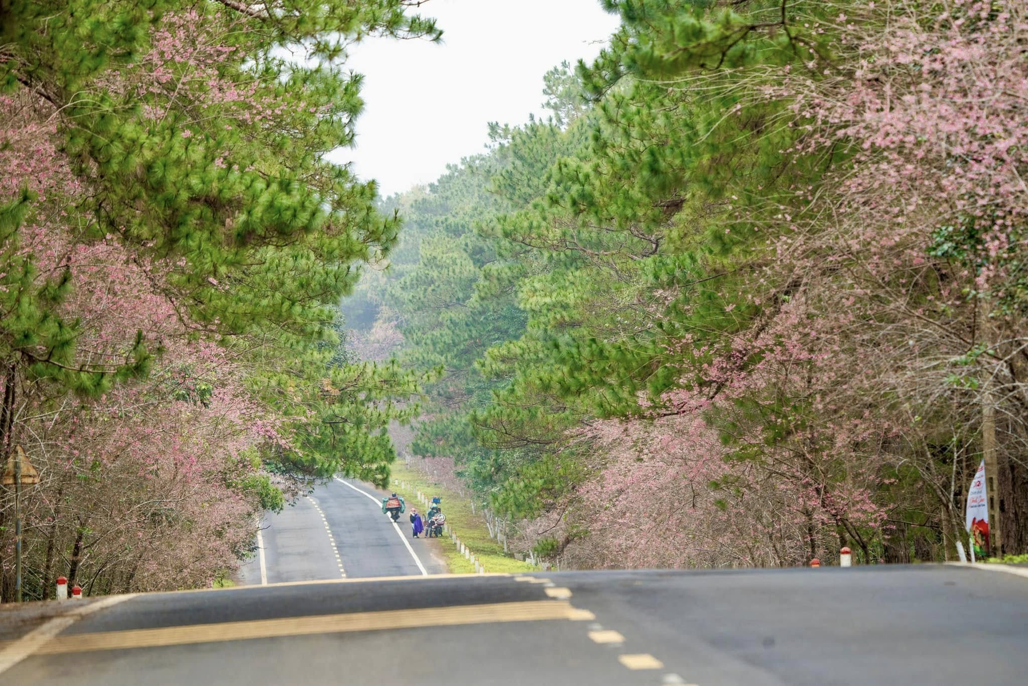 Măng Đen - Ảnh 8.