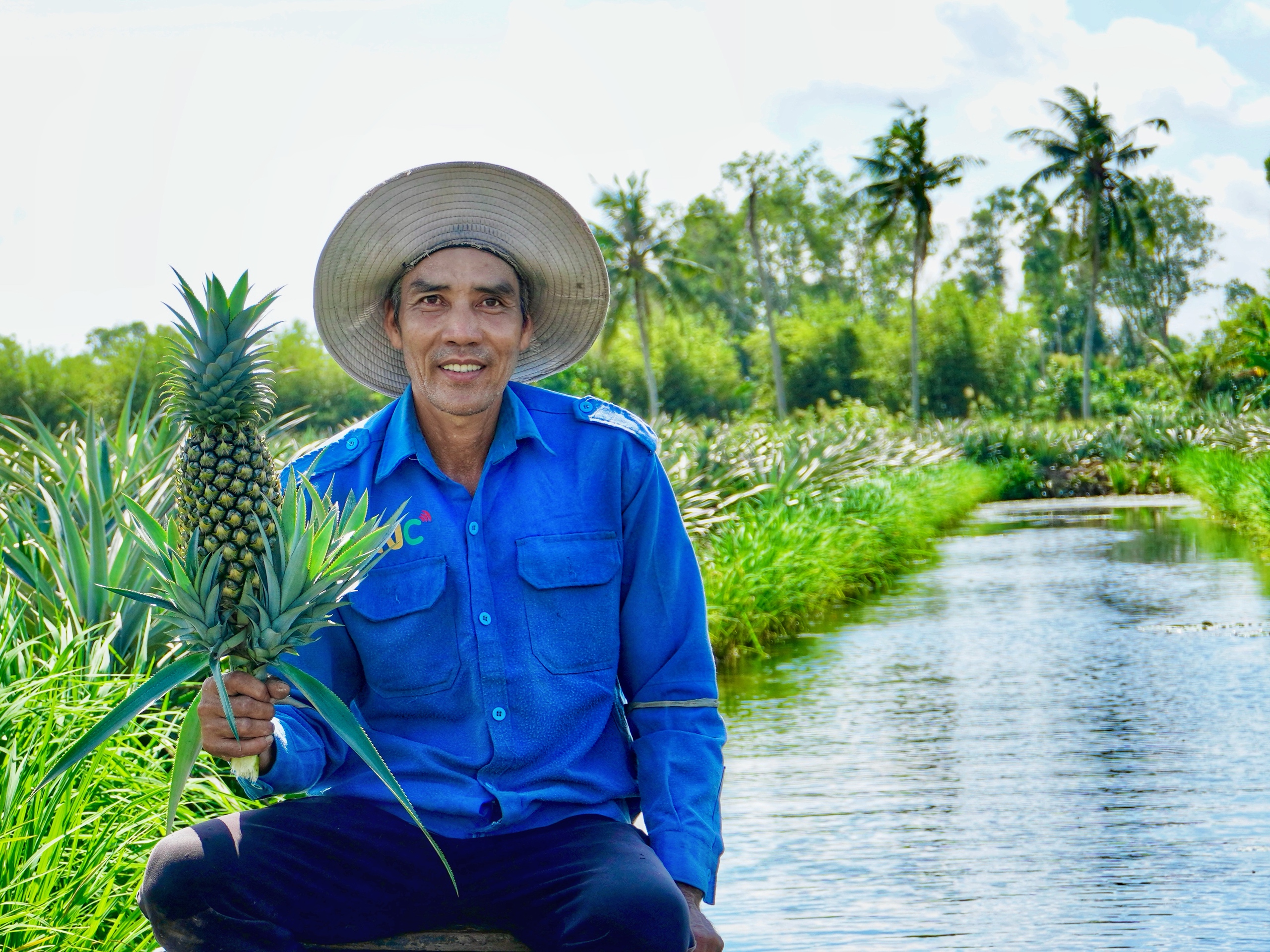 giá khóm - Ảnh 2.