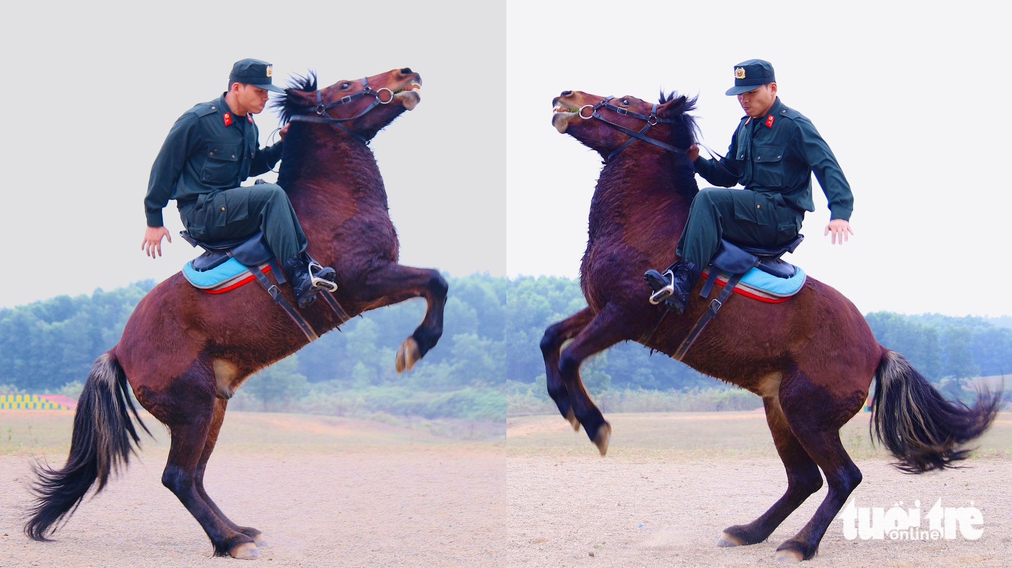 Đầu năm ngựa, 'xông đất' Đoàn Cảnh sát cơ động kỵ binh - Ảnh 1.