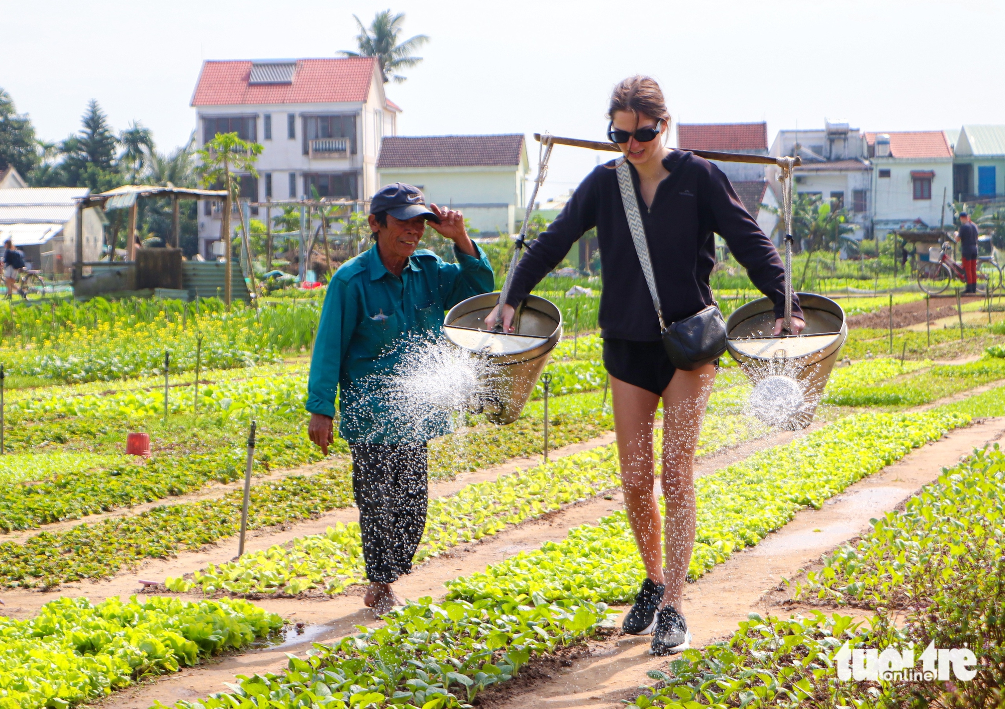 làng rau - Ảnh 4.