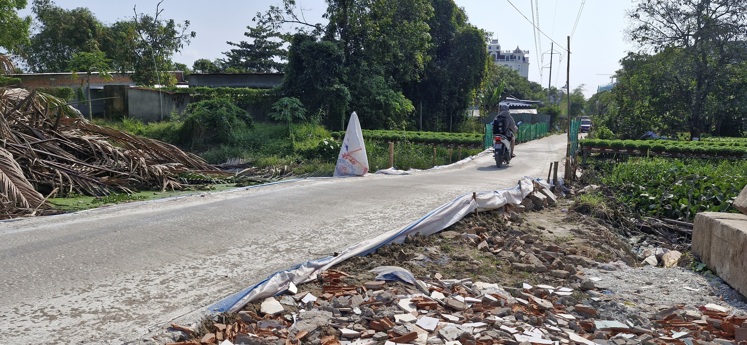 lấp rạch - Ảnh 2.