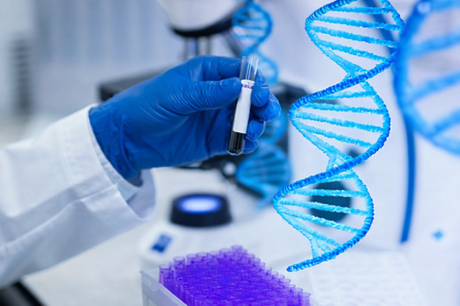 Bất ngờ gene bảo vệ người trẻ 'phản chủ' lúc về già - Ảnh 1.