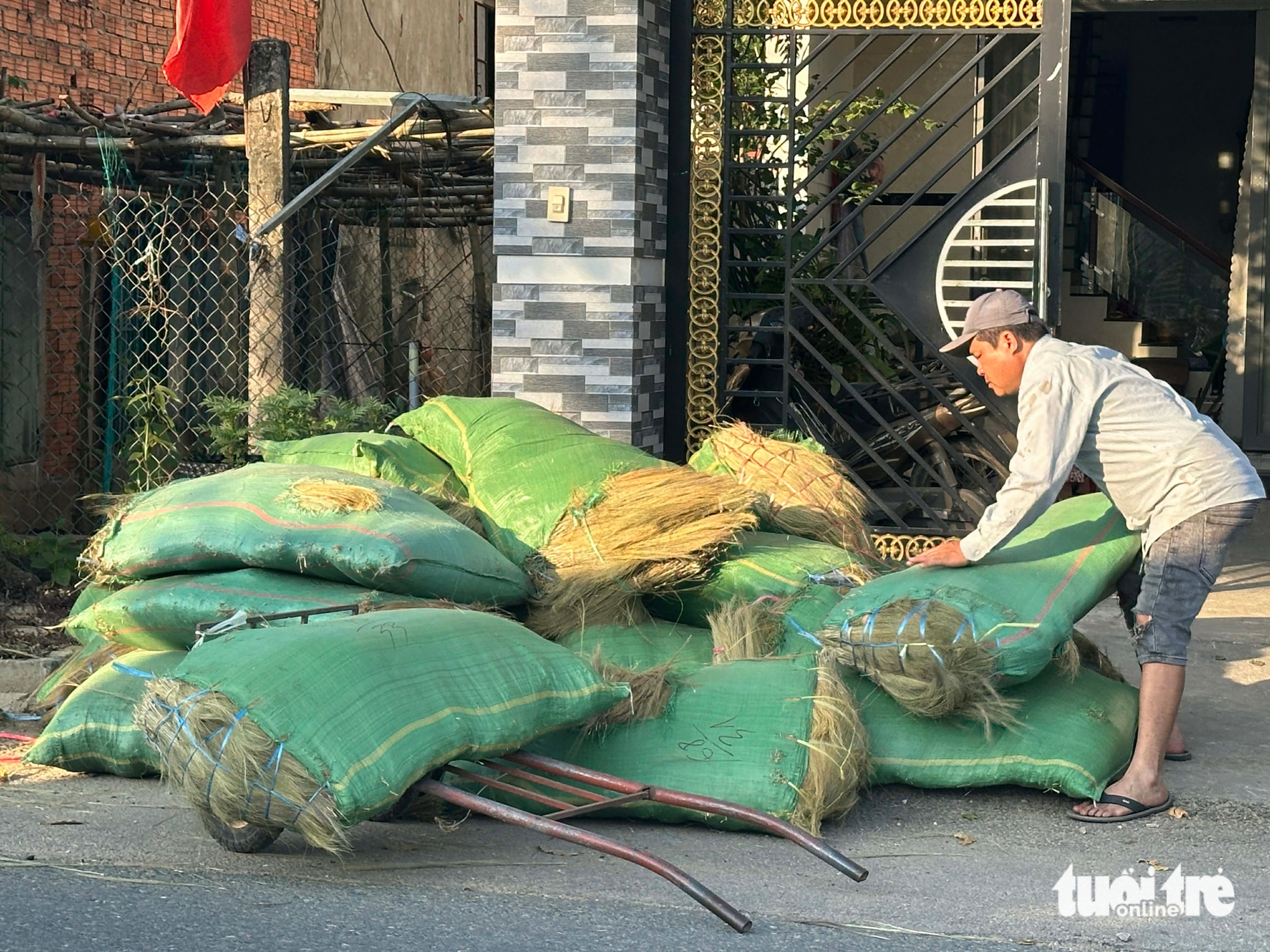 chổi đót - Ảnh 13.