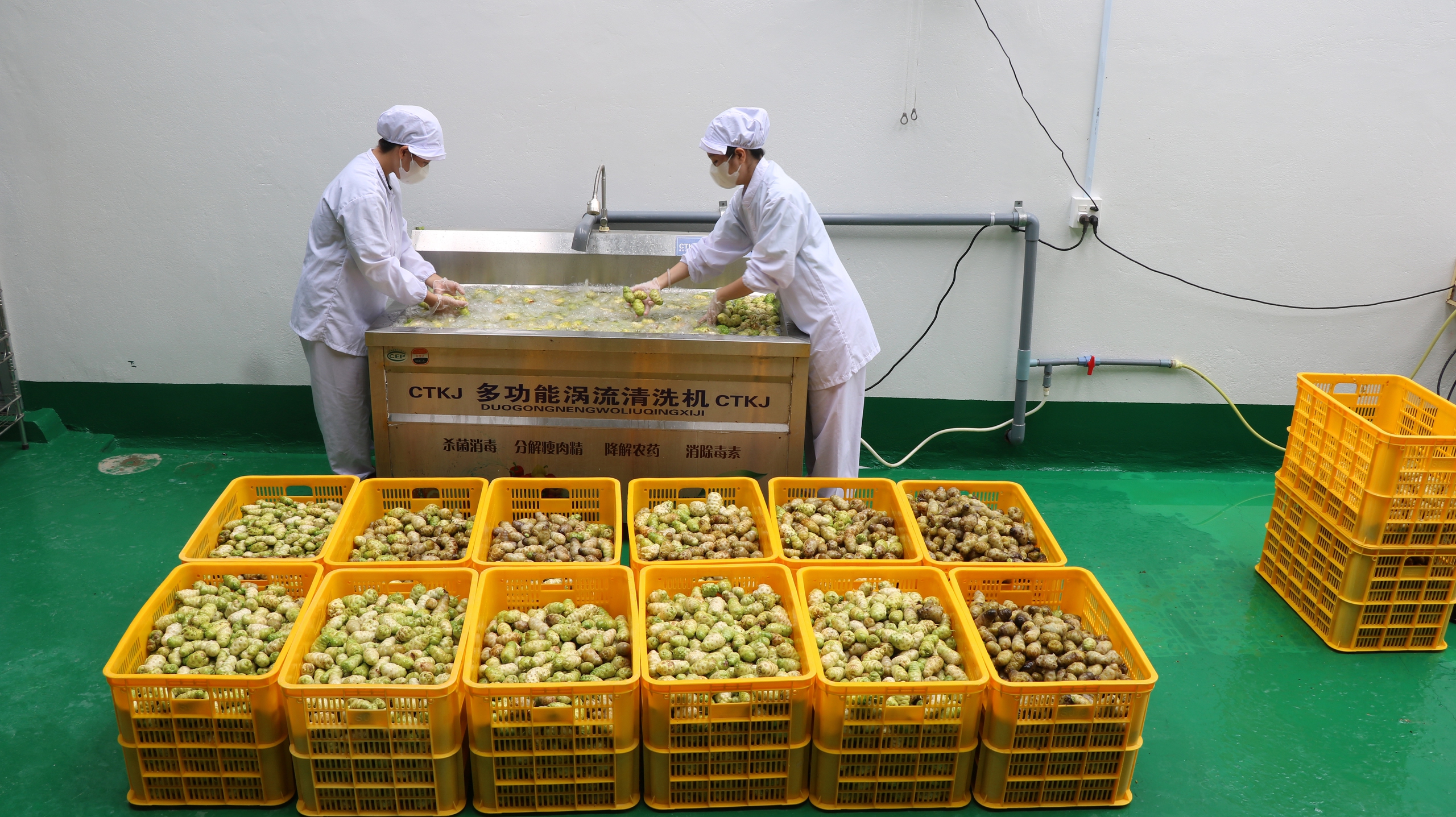 BỎ PHỐ VỀ QUÊ - Ảnh 3.