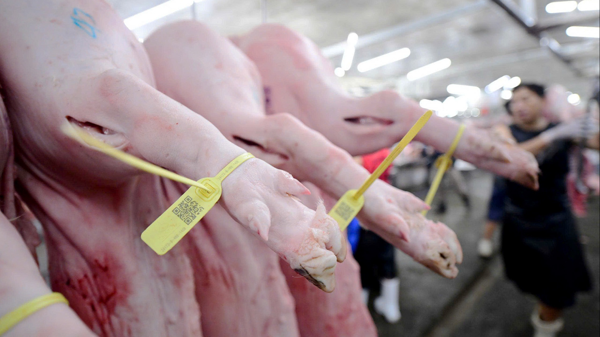 nấu chín - Ảnh 1.