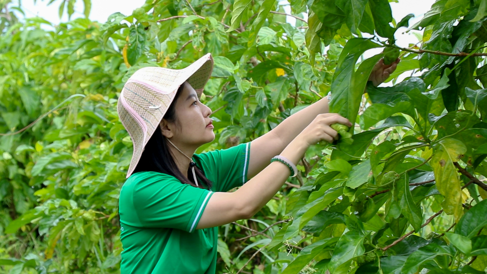 BỎ PHỐ VỀ QUÊ - Ảnh 2.