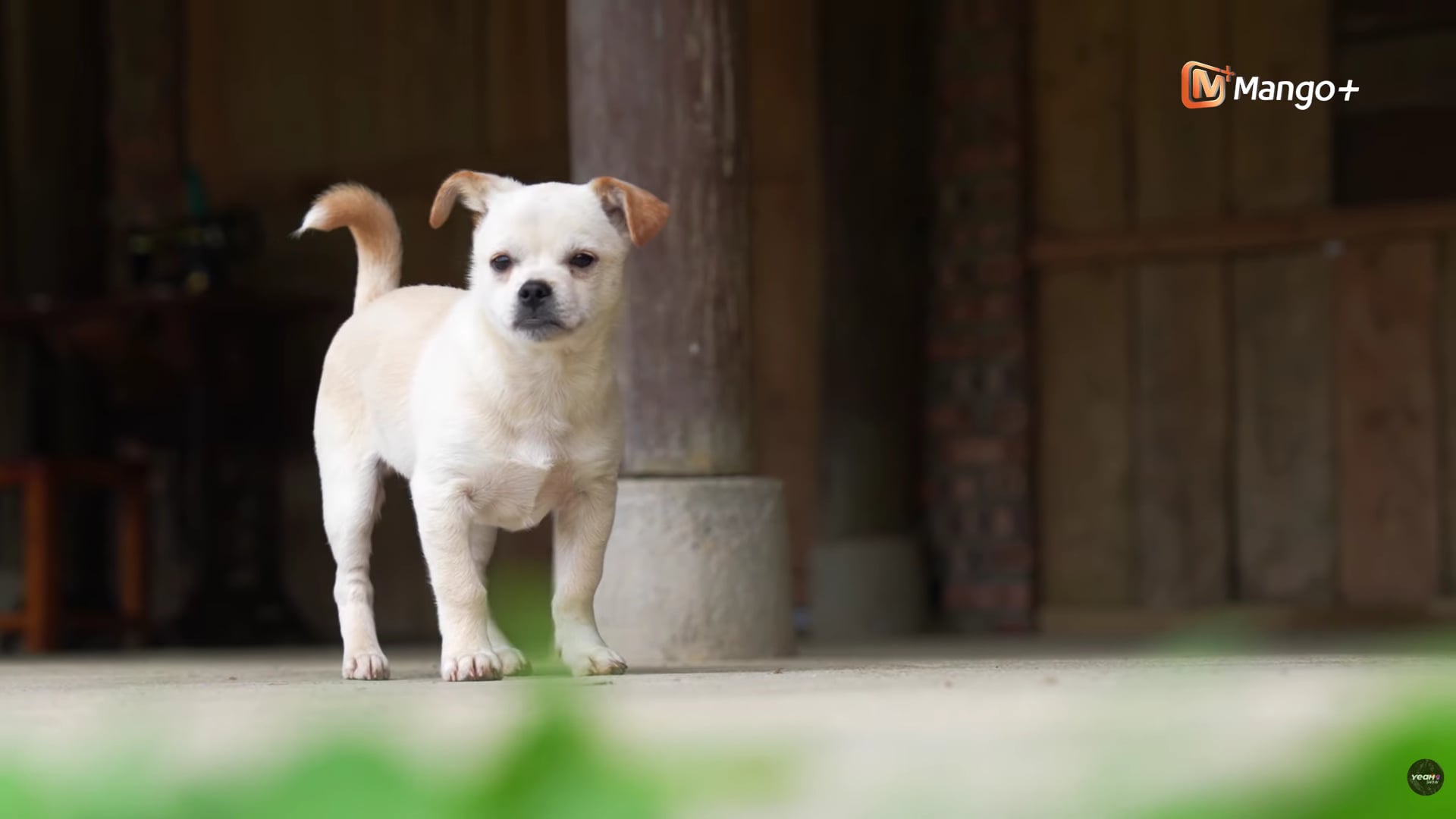 Dàn cast Gia đình Haha sum vầy tại bản Liền trong chặng đặc biệt - Ảnh 2.