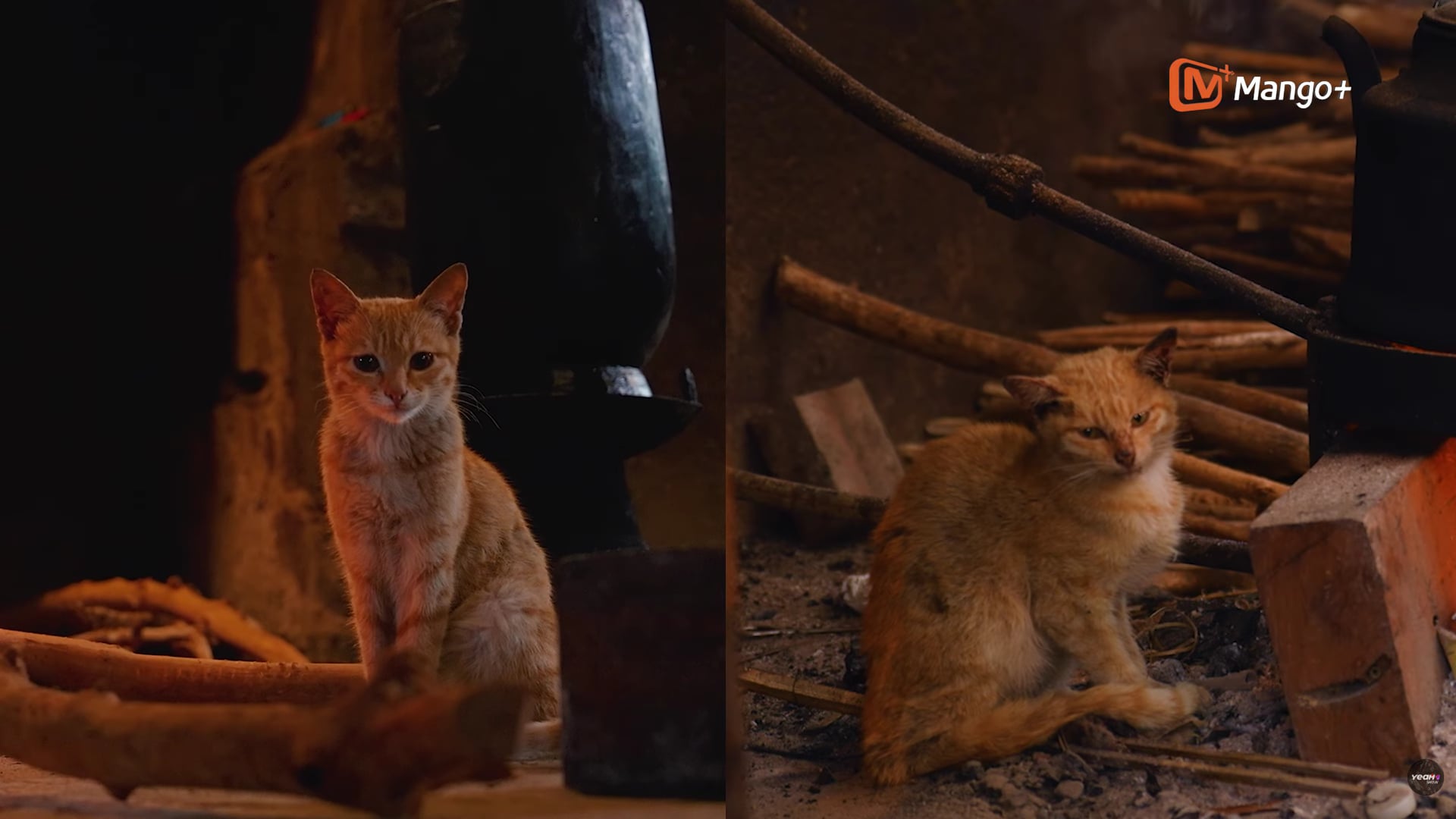 Dàn cast Gia đình Haha sum vầy tại bản Liền trong chặng đặc biệt - Ảnh 3.