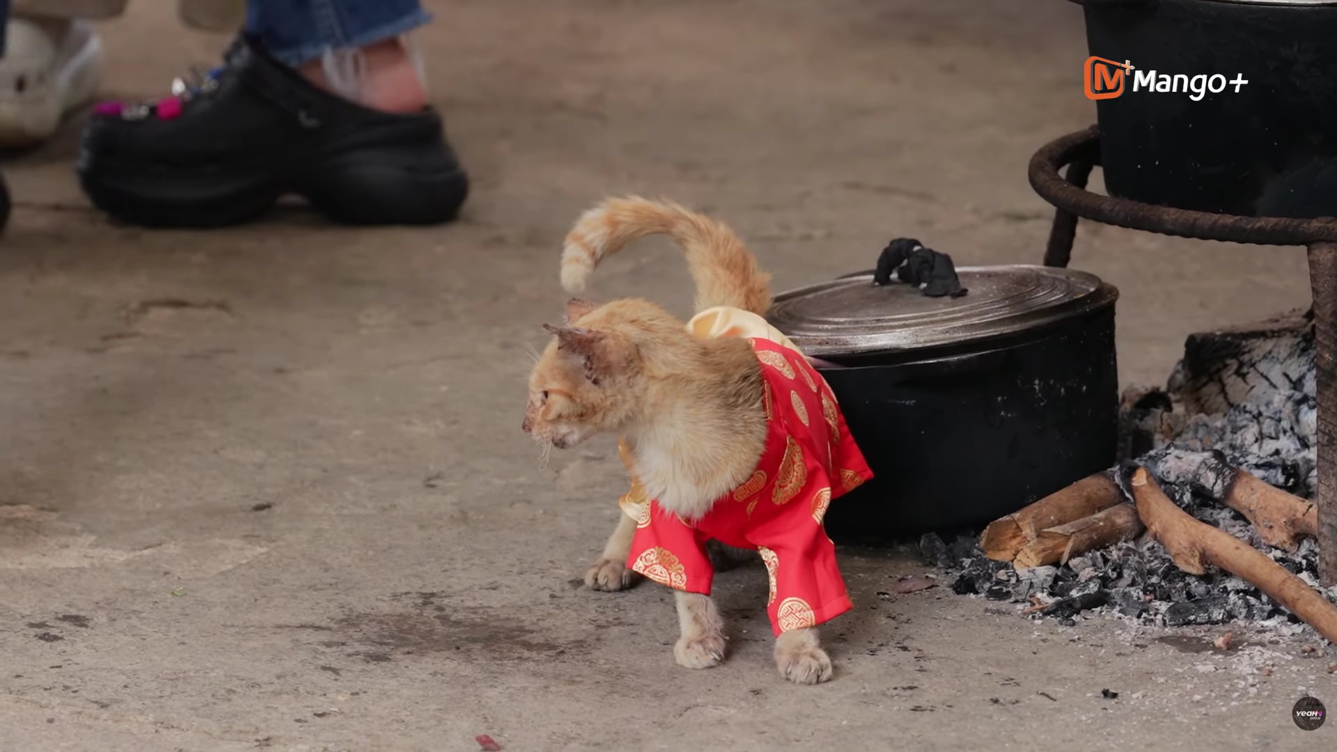 Dàn cast Gia đình Haha sum vầy tại bản Liền trong chặng đặc biệt - Ảnh 4.