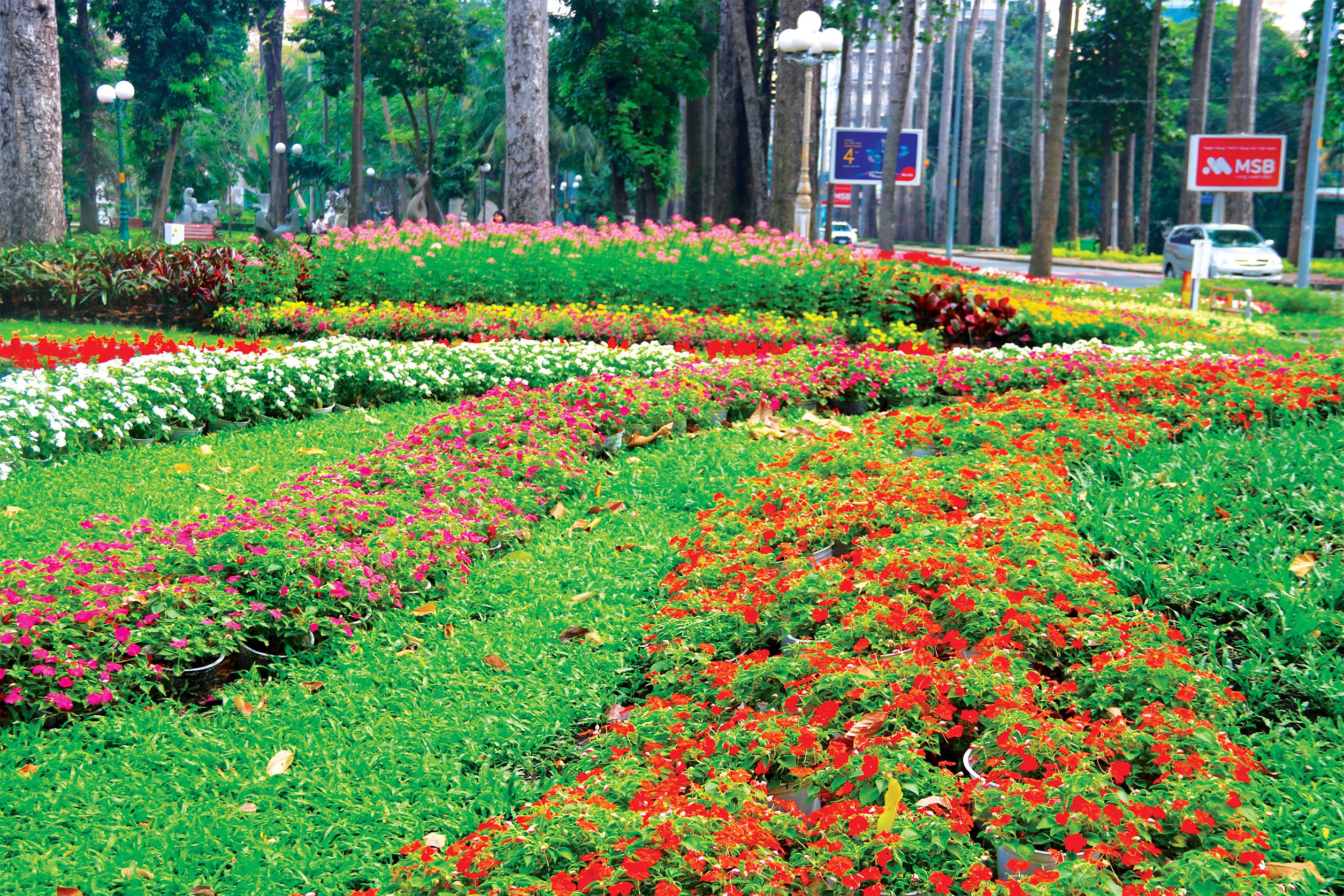 Check-in những vườn hoa tết miễn phí ở TP.HCM