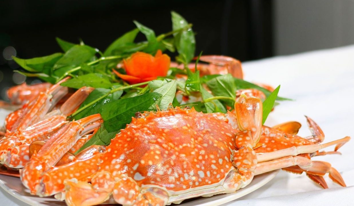 thủy sản - Ảnh 1.