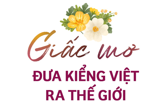 Hoa kiểng Sa Đéc: Giữ gốc rễ - mở lối tương lai - Ảnh 13.
