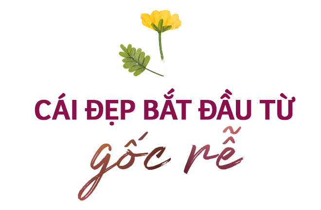 Hoa kiểng Sa Đéc: Giữ gốc rễ - mở lối tương lai - Ảnh 17.