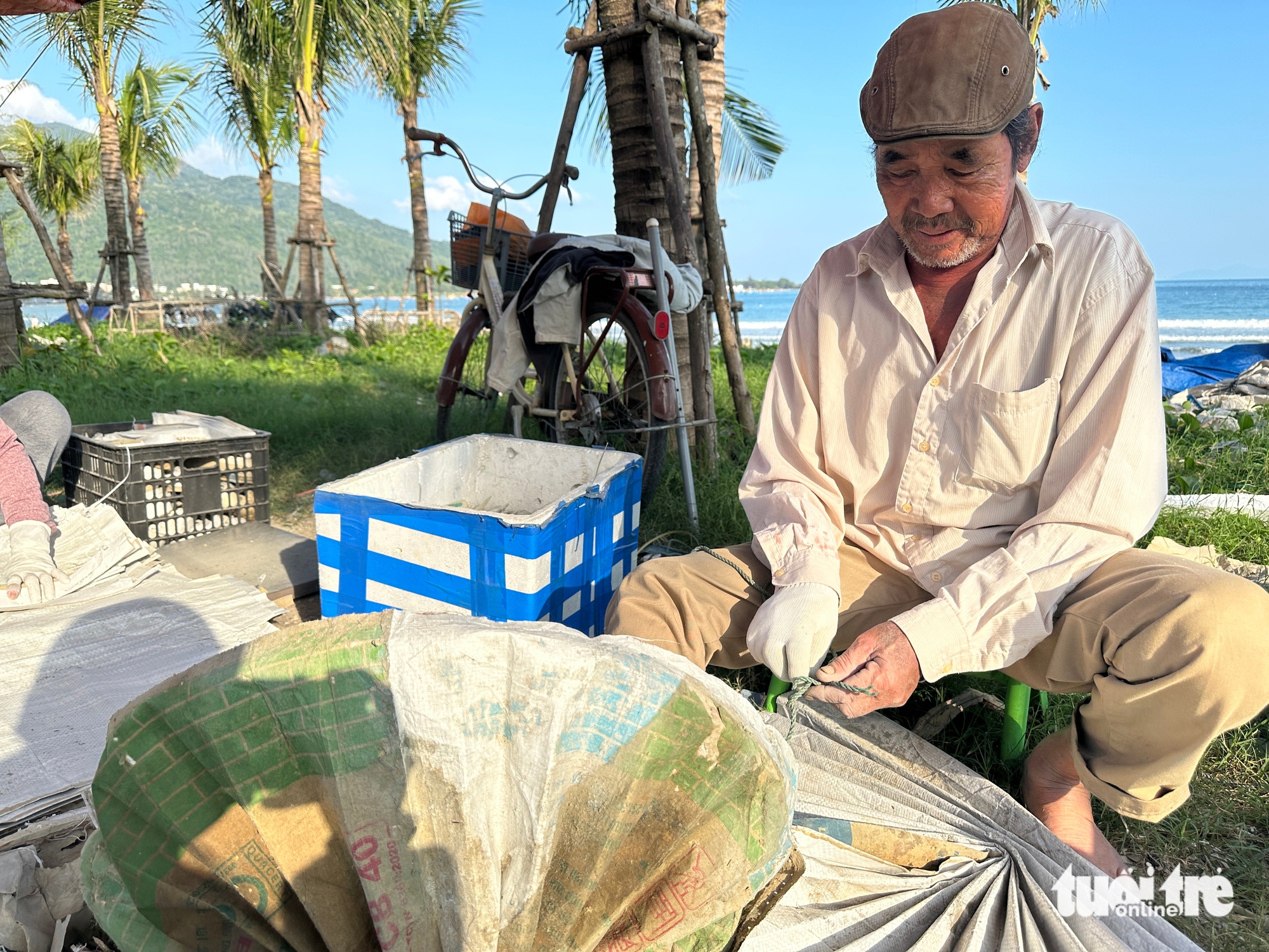 tôm hùm giống - Ảnh 3.