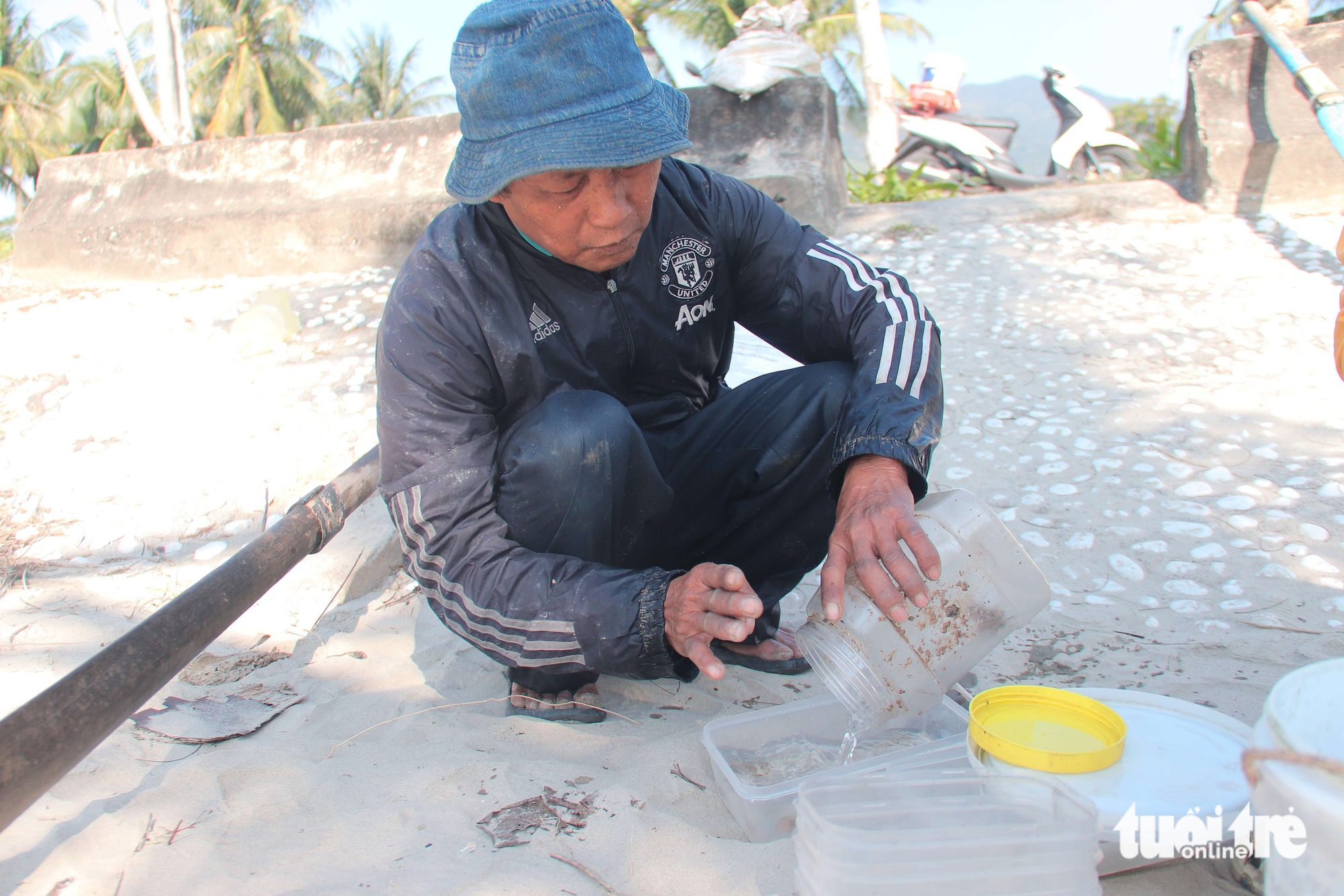tôm hùm giống - Ảnh 9.