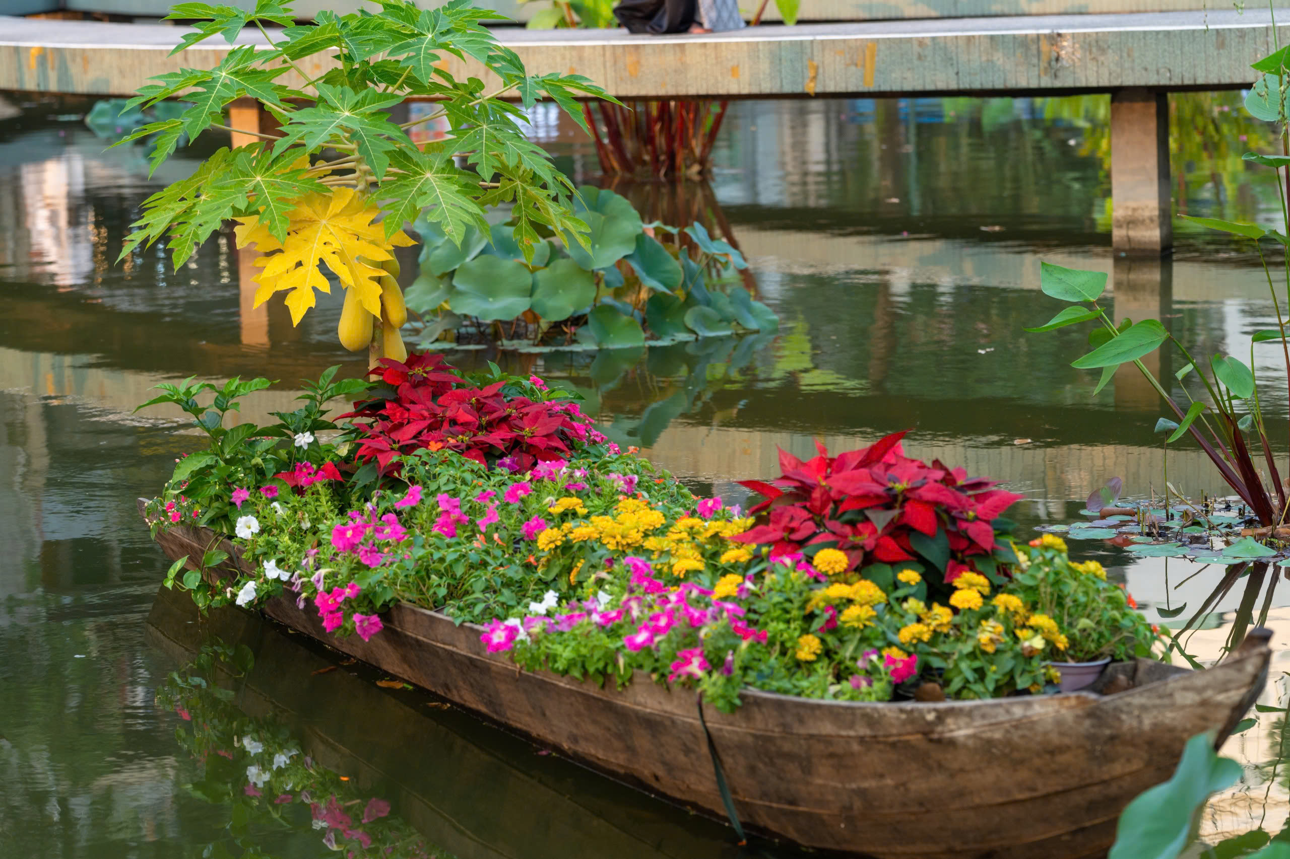 Tết sớm - Ảnh 11.