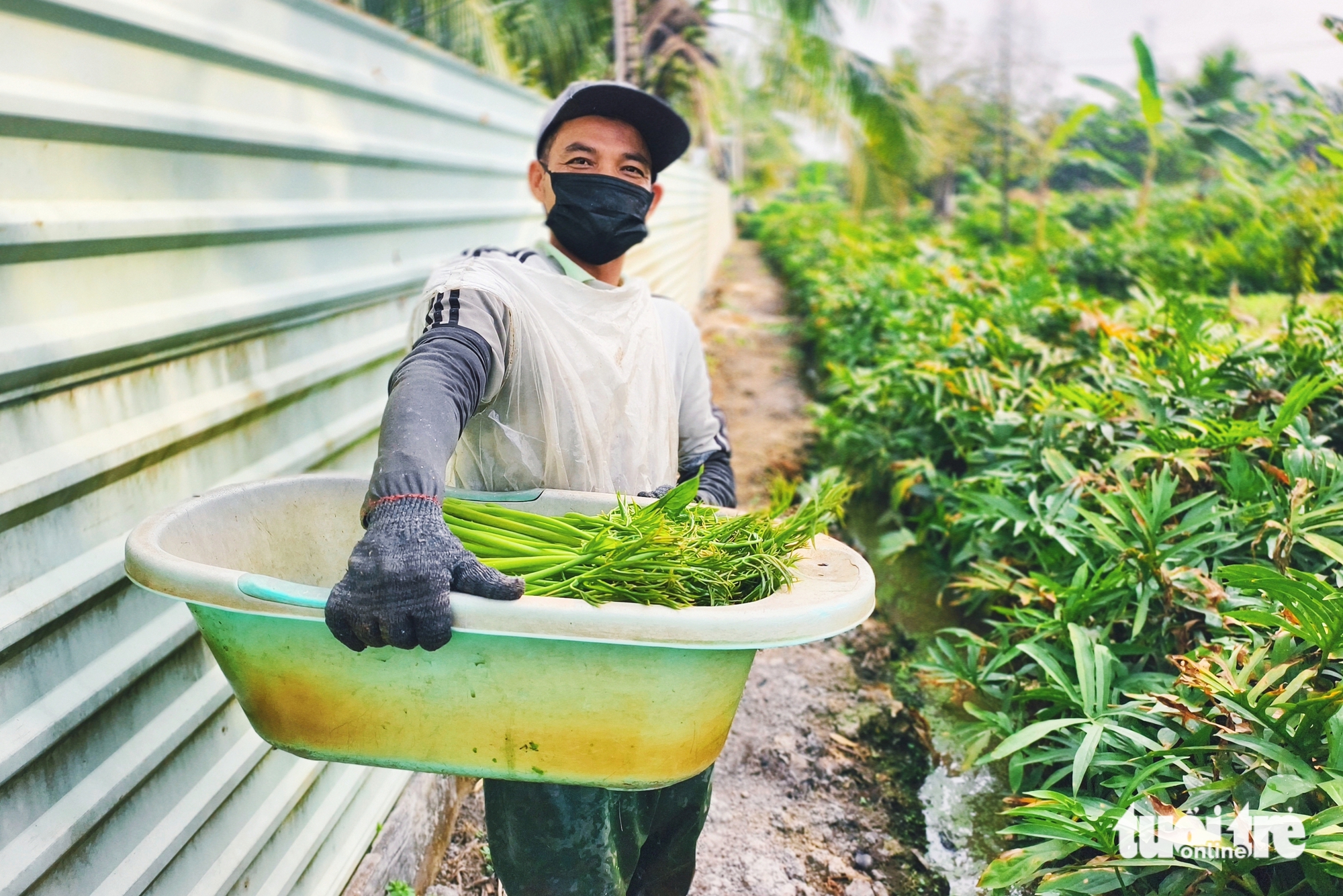 du lịch cộng đồng - Ảnh 9.