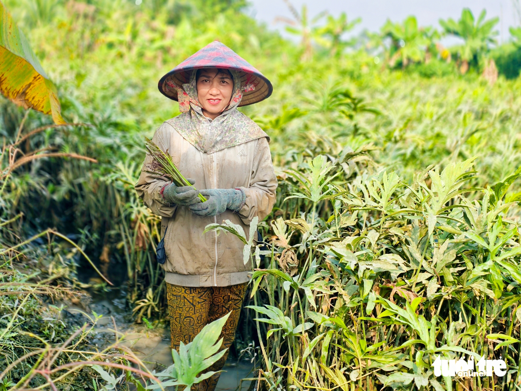 du lịch cộng đồng - Ảnh 5.