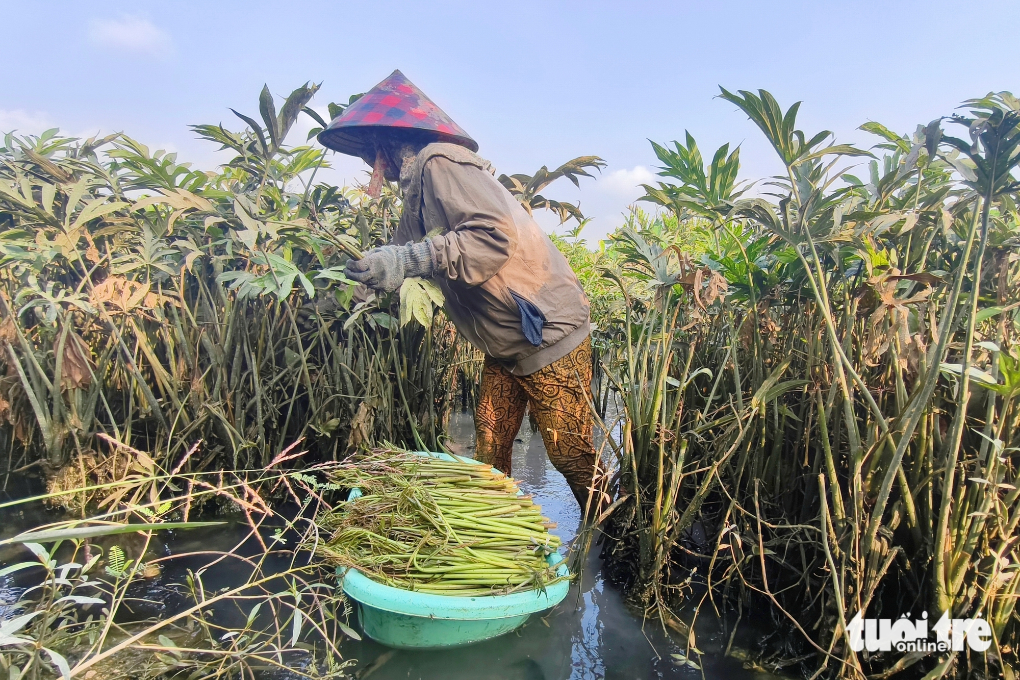 du lịch cộng đồng - Ảnh 6.