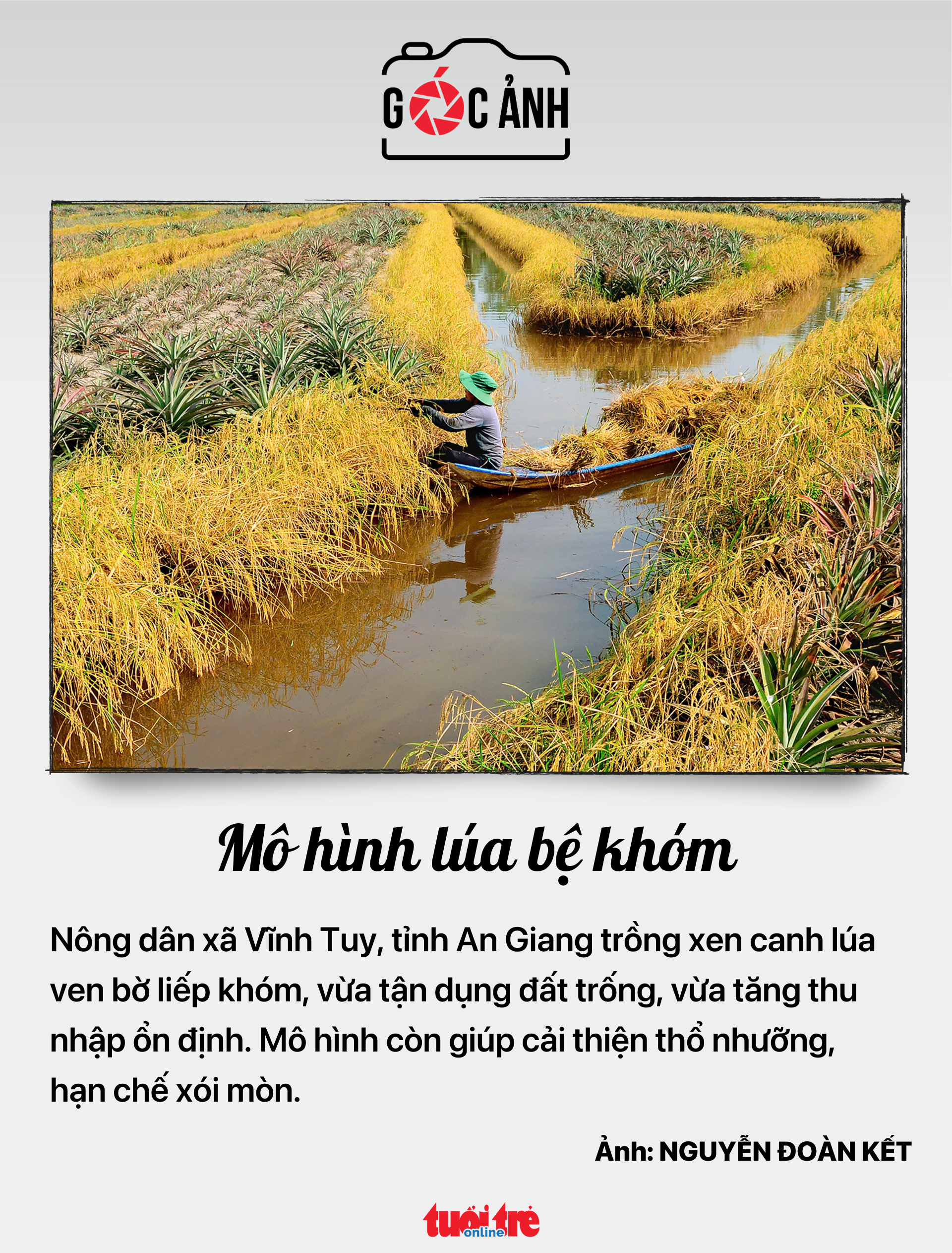 dân số - Ảnh 6.