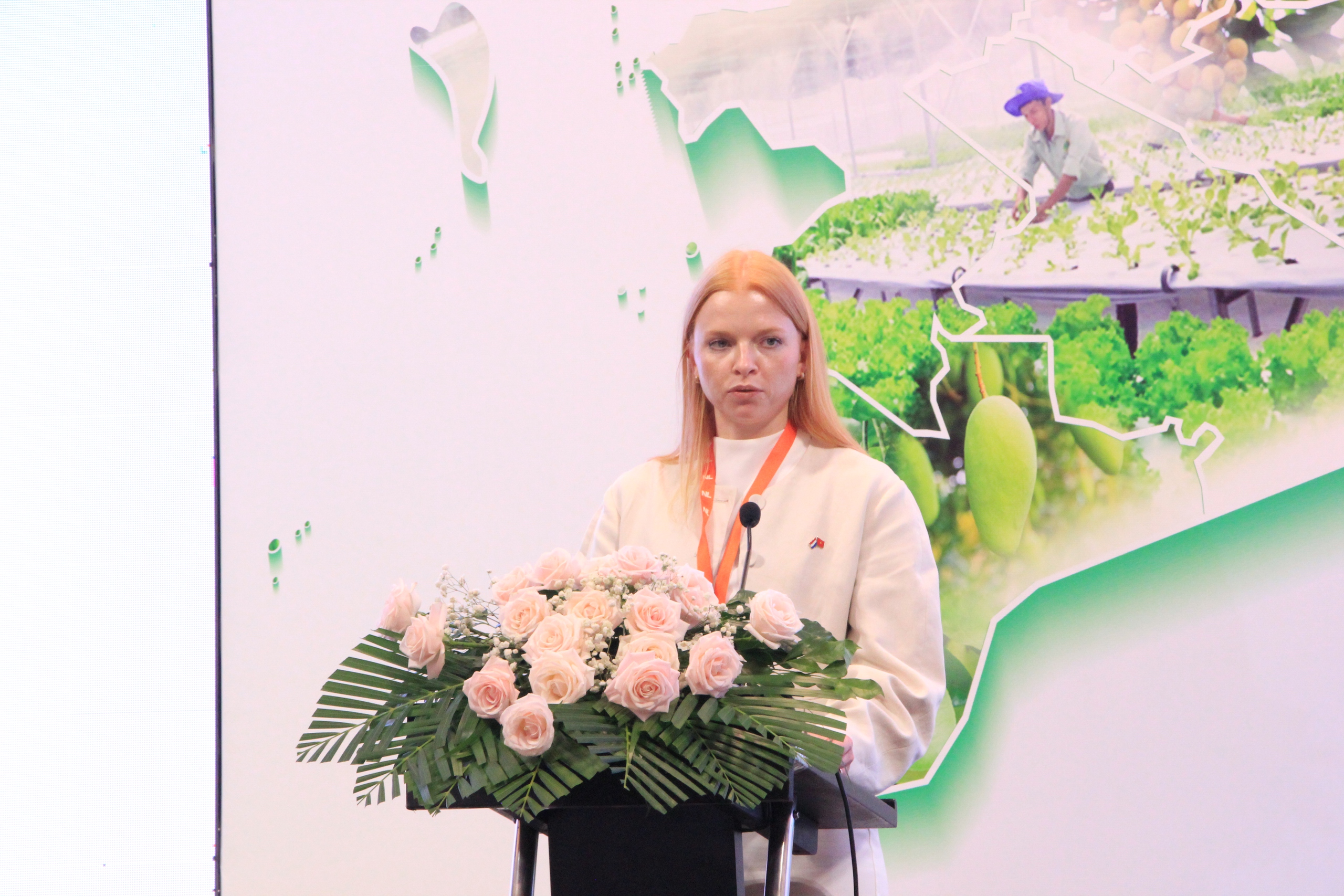 Vietnam, the Netherlands discuss tackling saline soils in Mekong Delta - Ảnh 11. Vietnam, the Netherlands discuss tackling saline soils in Mekong Delta - Ảnh 11.