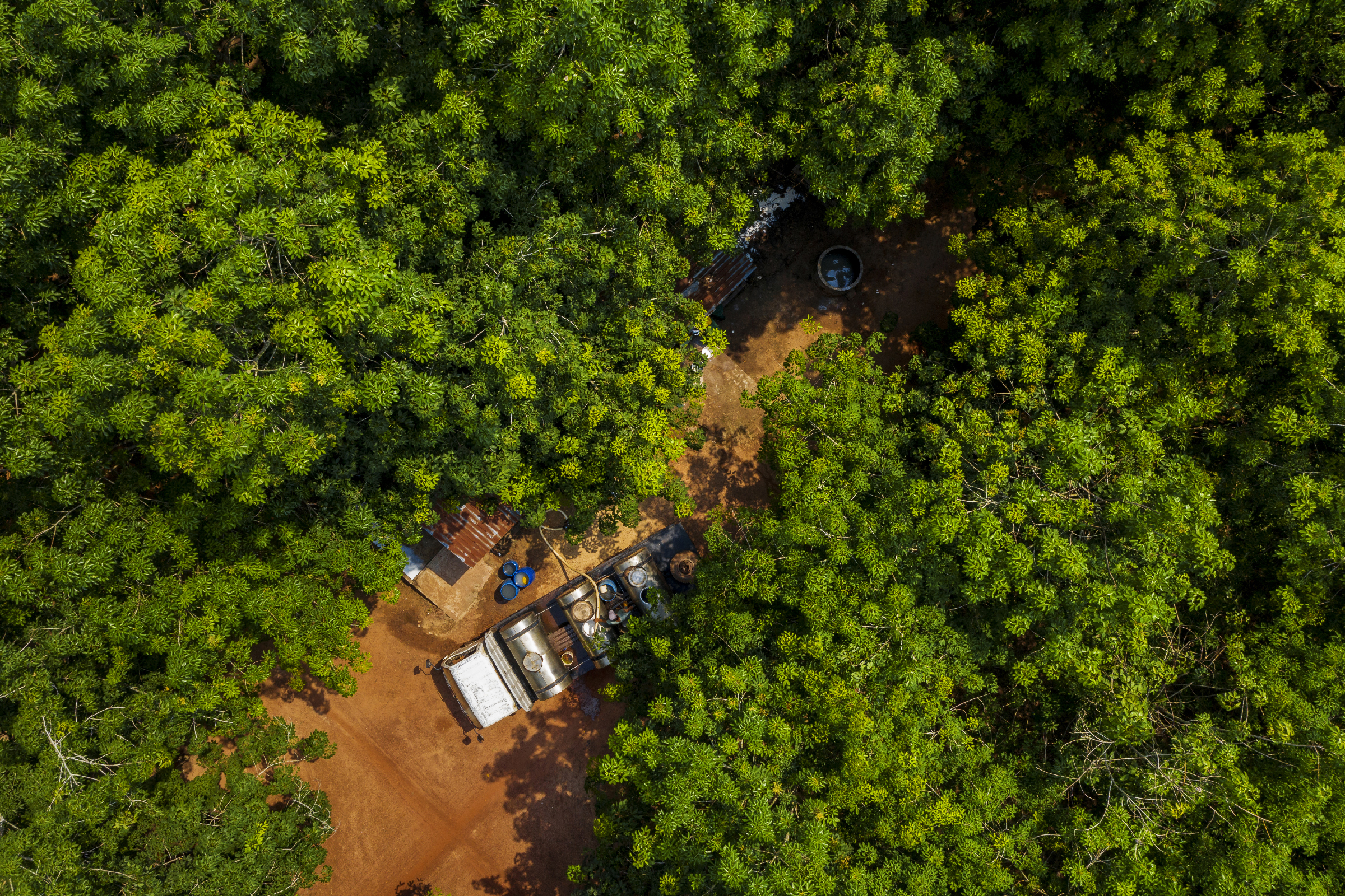 VRG tạo đà bứt phá trong năm bản lề 2026 - Ảnh 2.