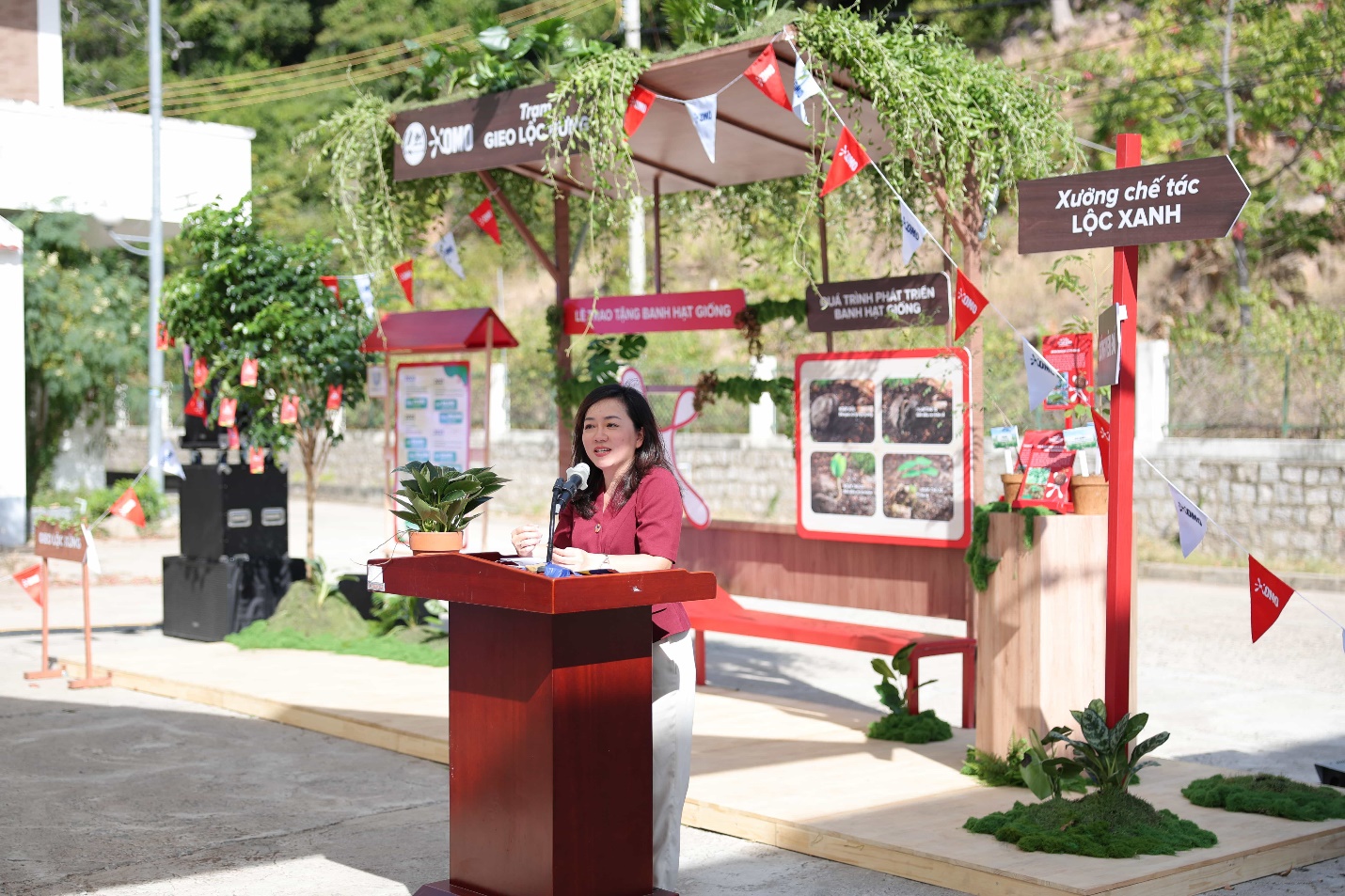 Hành trình một triệu cây: Từ Núi Chúa đến khắp Việt Nam - Ảnh 4.