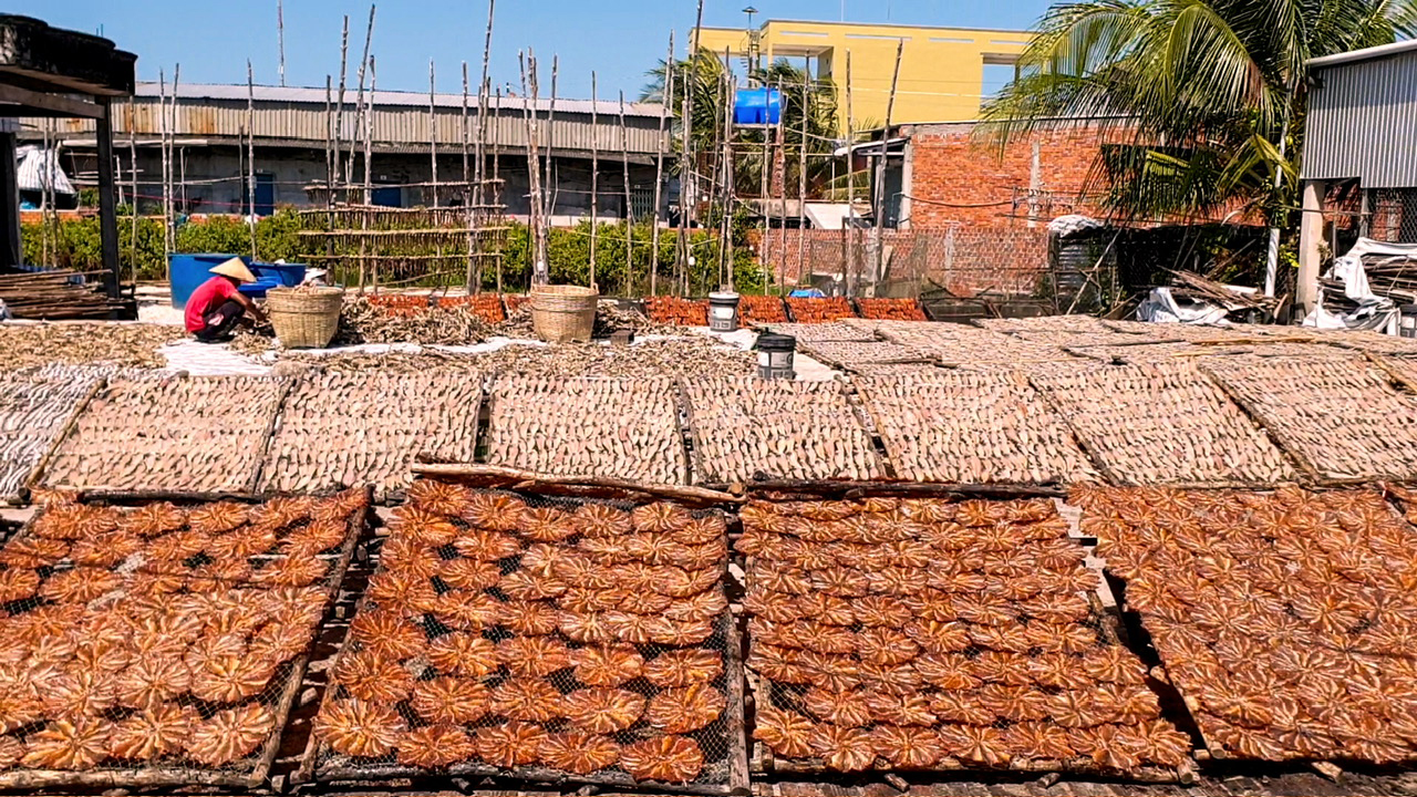 nghề khô - Ảnh 1.