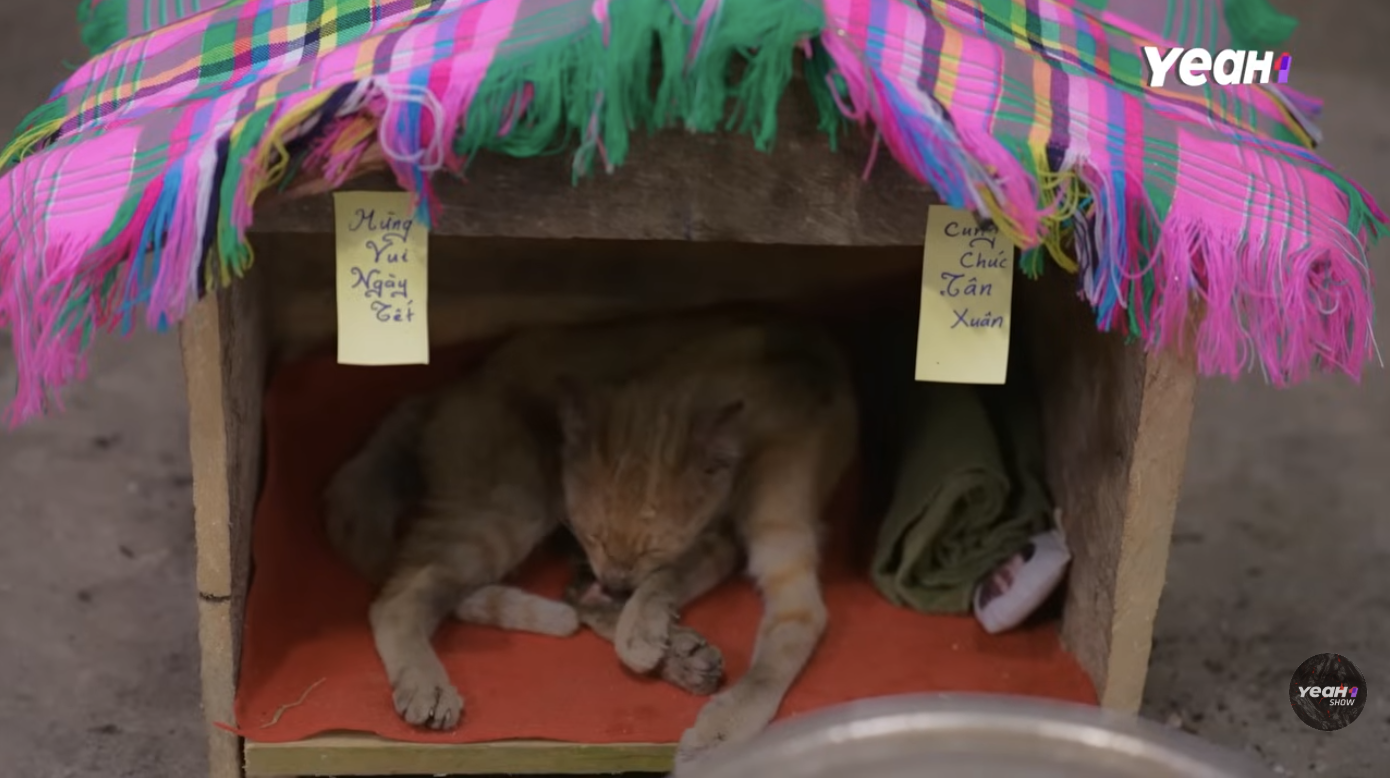 Gia đình Haha gặt bắp và xây nhà cho mèo Lướng trong tập 17 - Ảnh 7.