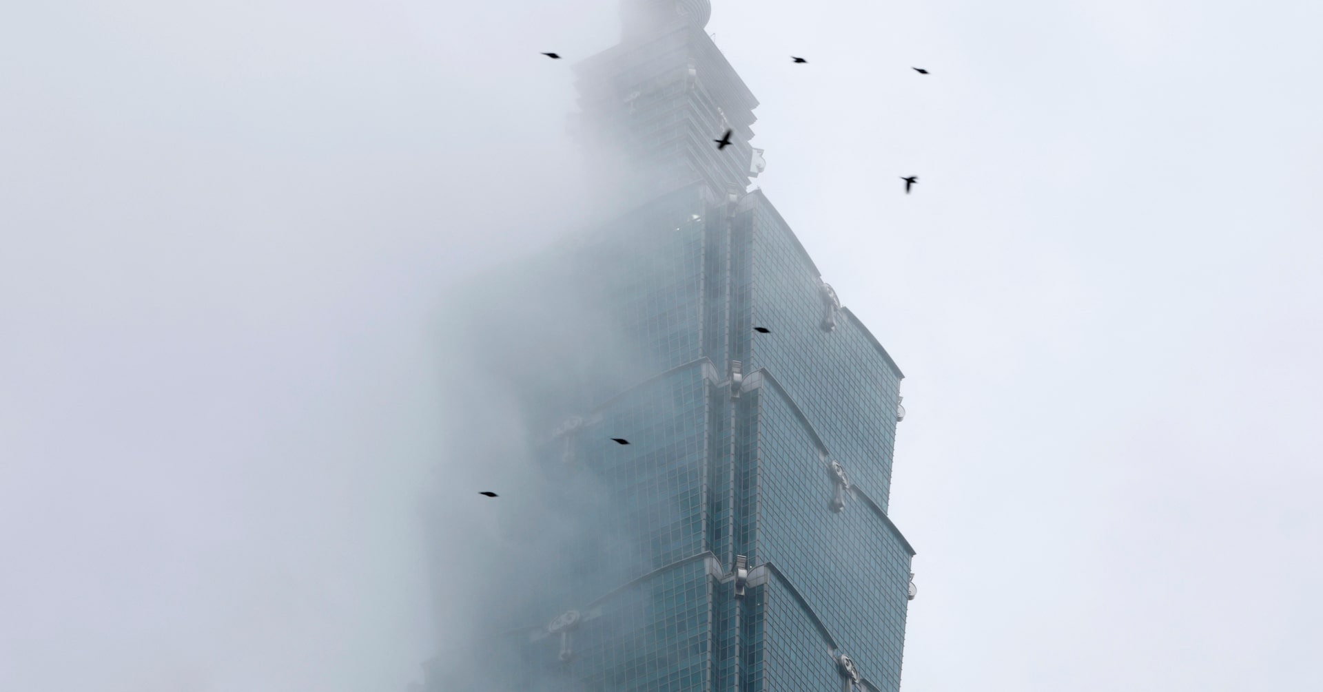 US climber scales Taiwan's tallest building Taipei 101 without ropes- Ảnh 1.