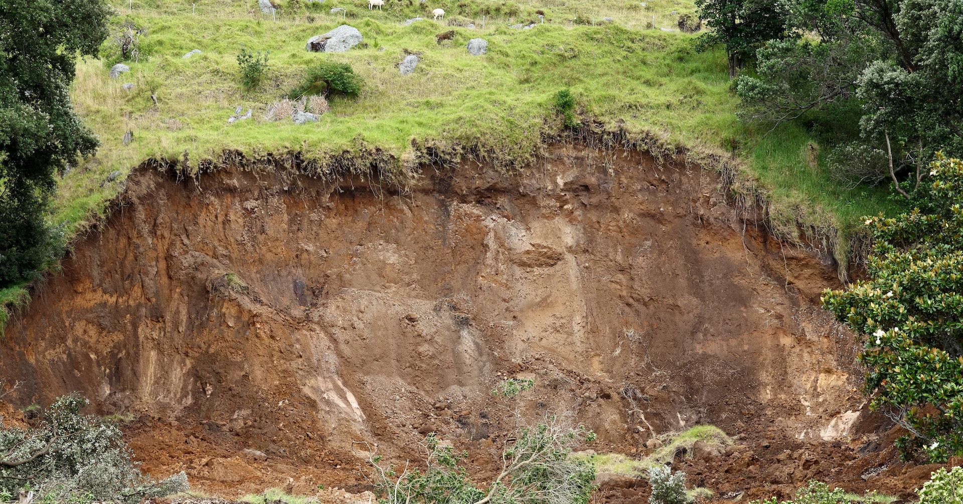 Recovery of New Zealand landslide victims halted on safety concerns- Ảnh 1.