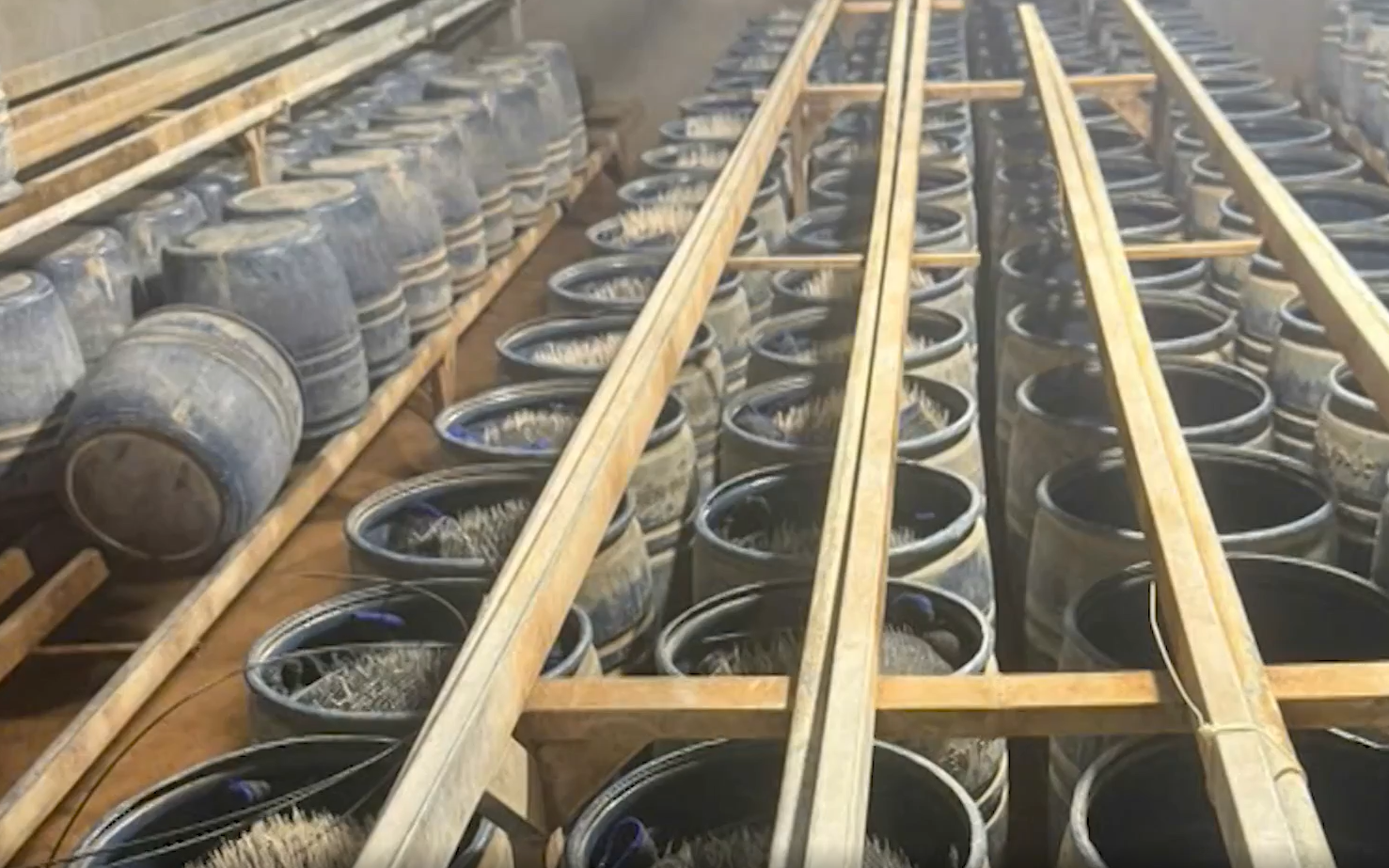 Director of Vietnamese firm charged with counterfeit chili, dipping sauce production
- Ảnh 1.