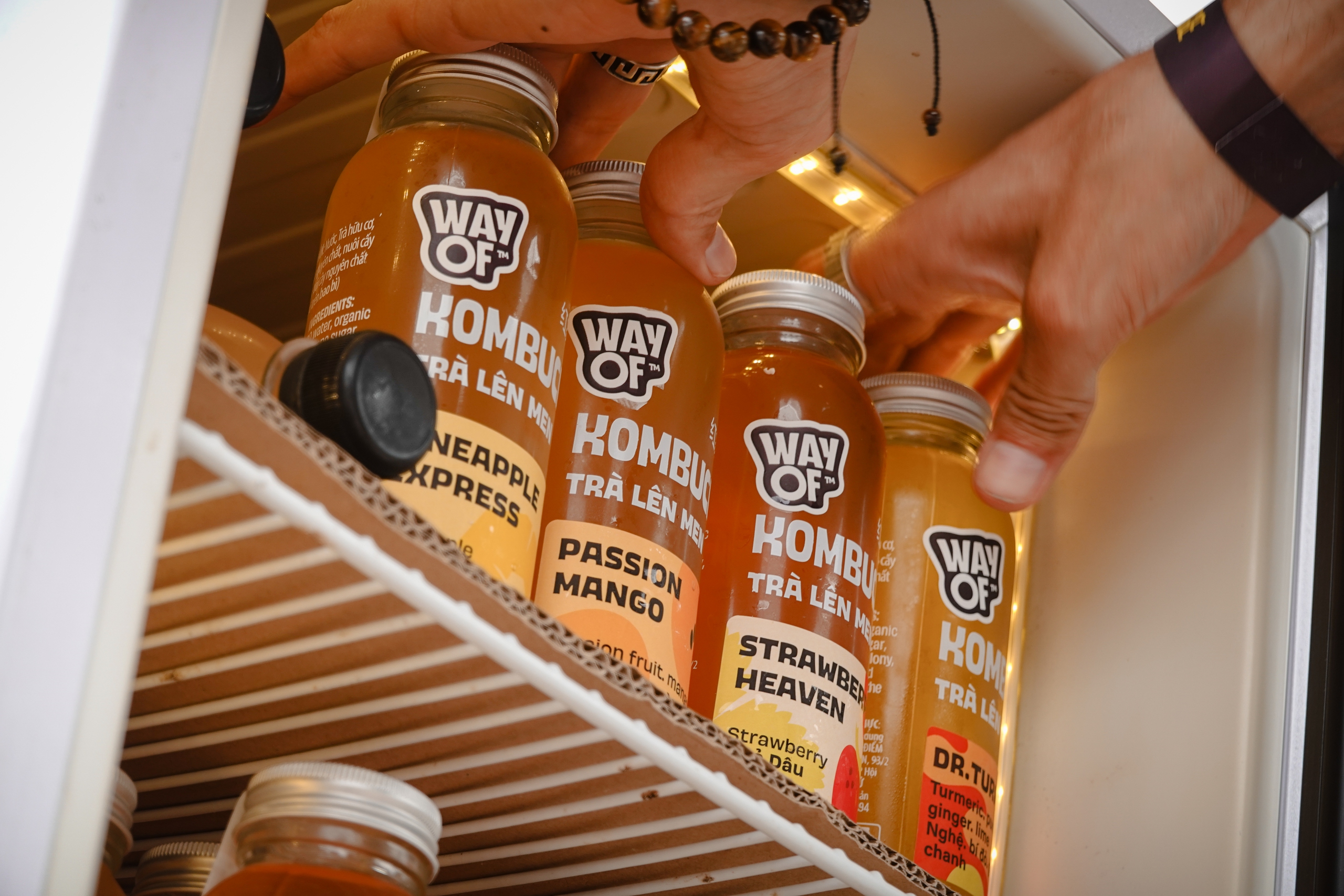 Chàng trai Nga làm kombucha từ nguyên liệu Việt - Ảnh 2. kombucha - Ảnh 2.