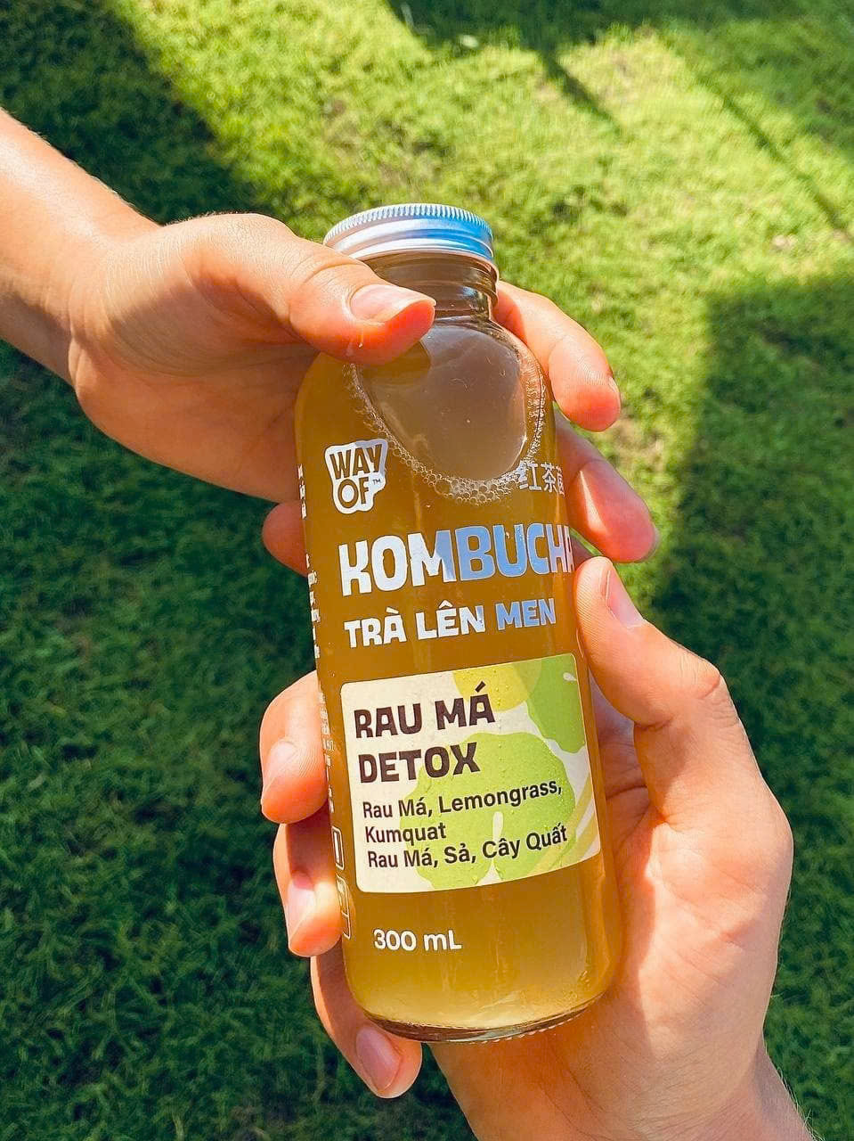 Chàng trai Nga làm kombucha từ nguyên liệu Việt - Ảnh 5. kombucha - Ảnh 5.