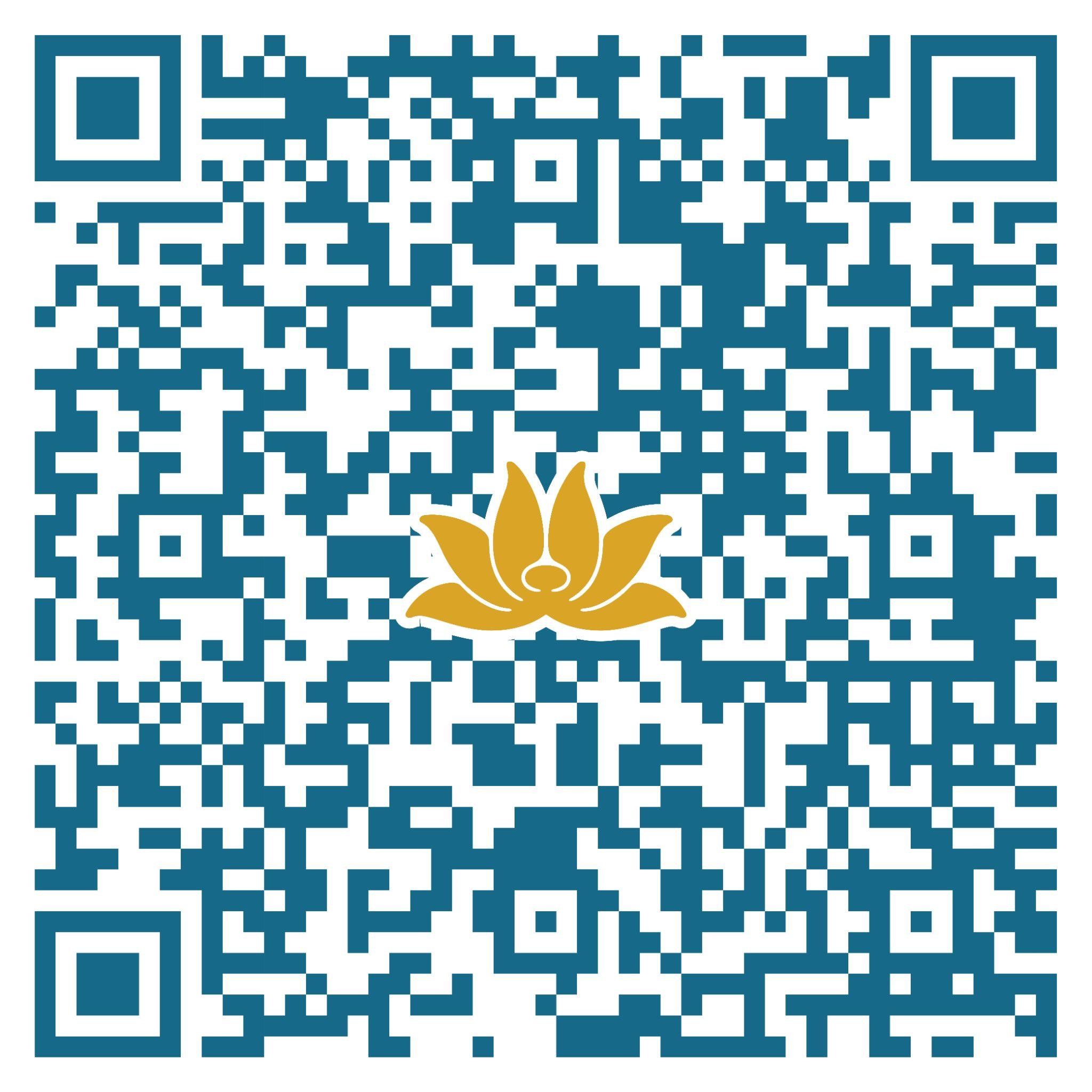 Vietnam Airlines - Ảnh 6.