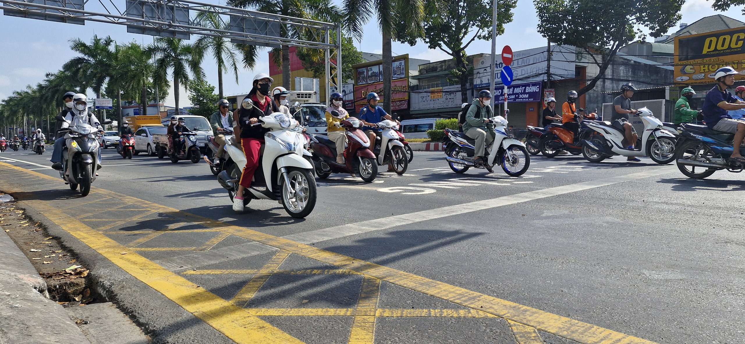 vạch mắt võng - Ảnh 1.