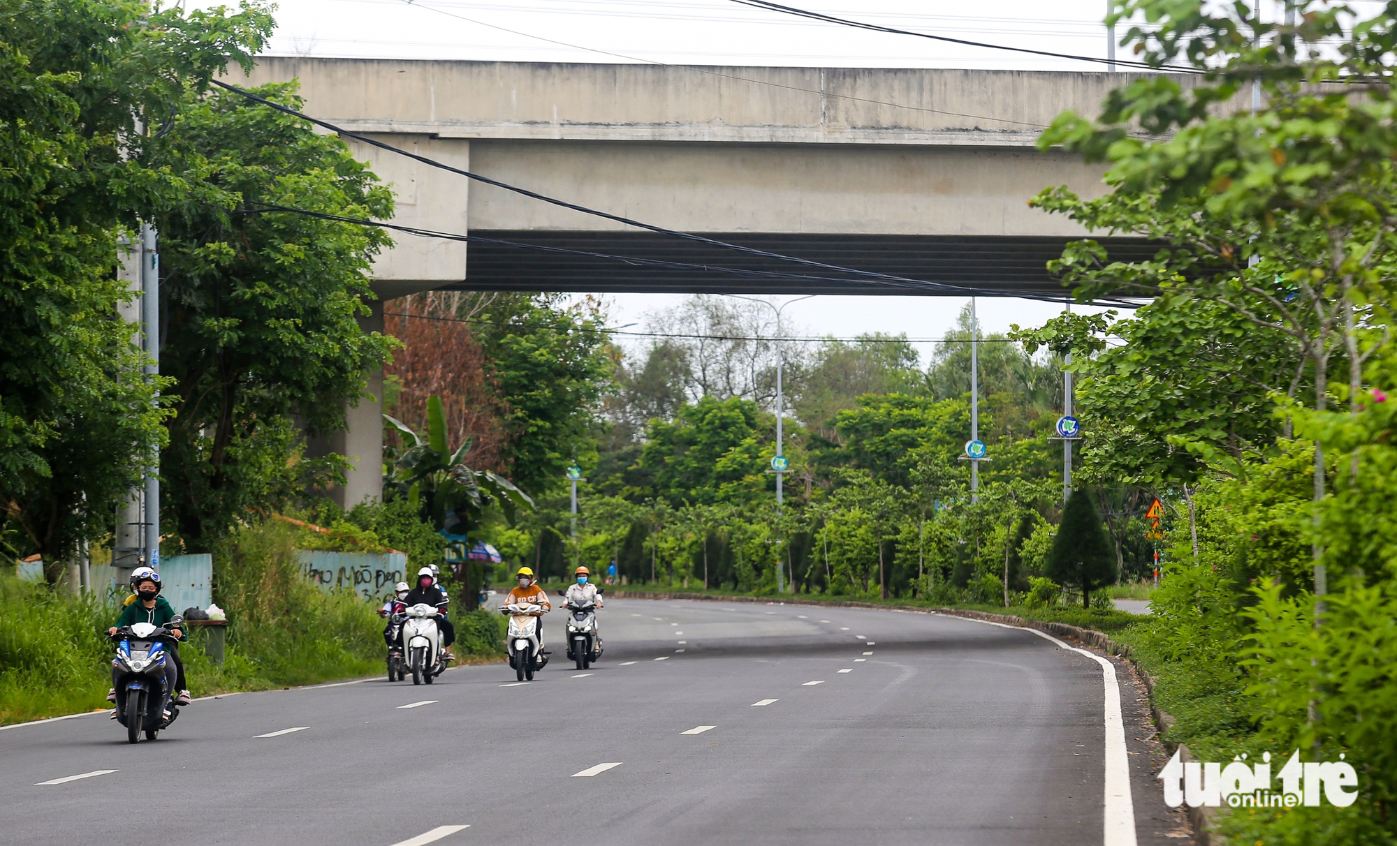 Cần Giờ - Ảnh 3.